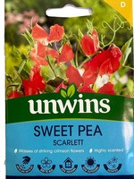Unwins Sweet Pea - Scarlett