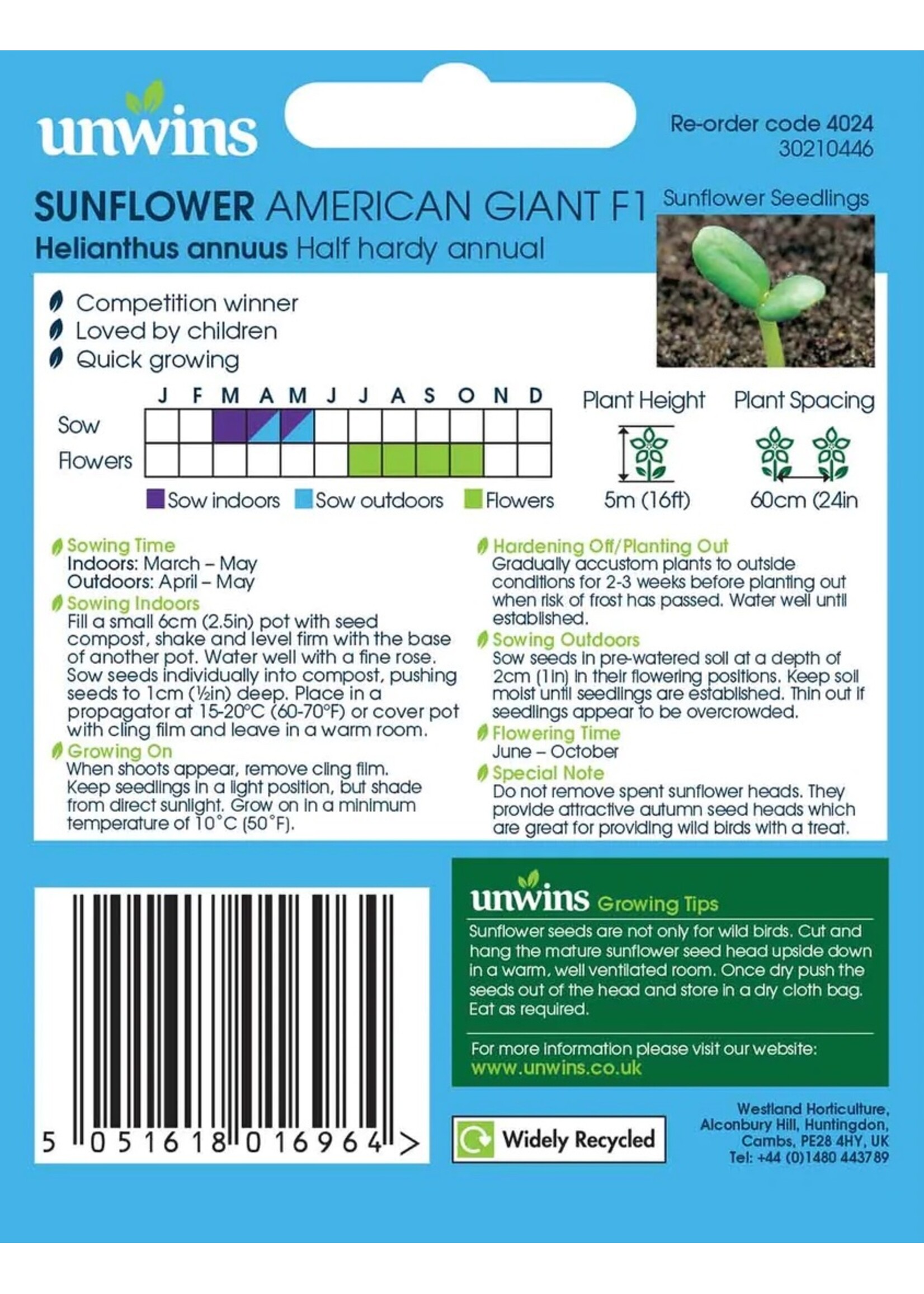 Unwins Sunflower - American Giant F1