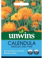 Unwins Calendula - Needles and Pins