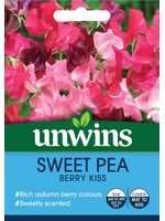 Unwins Sweet Pea - Berry Kiss