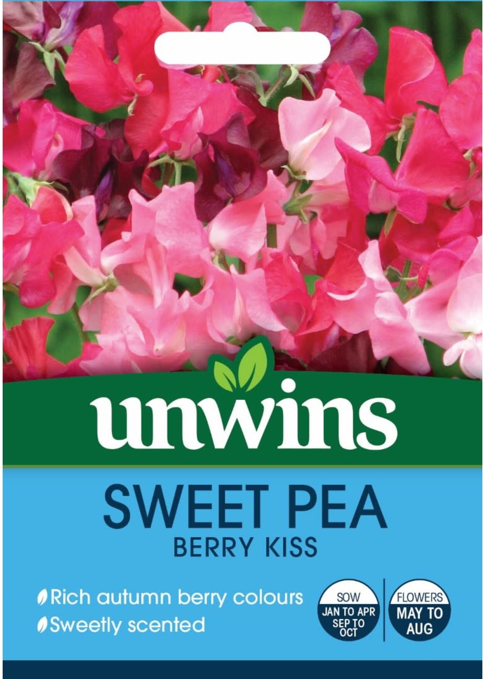 Unwins Sweet Pea - Berry Kiss