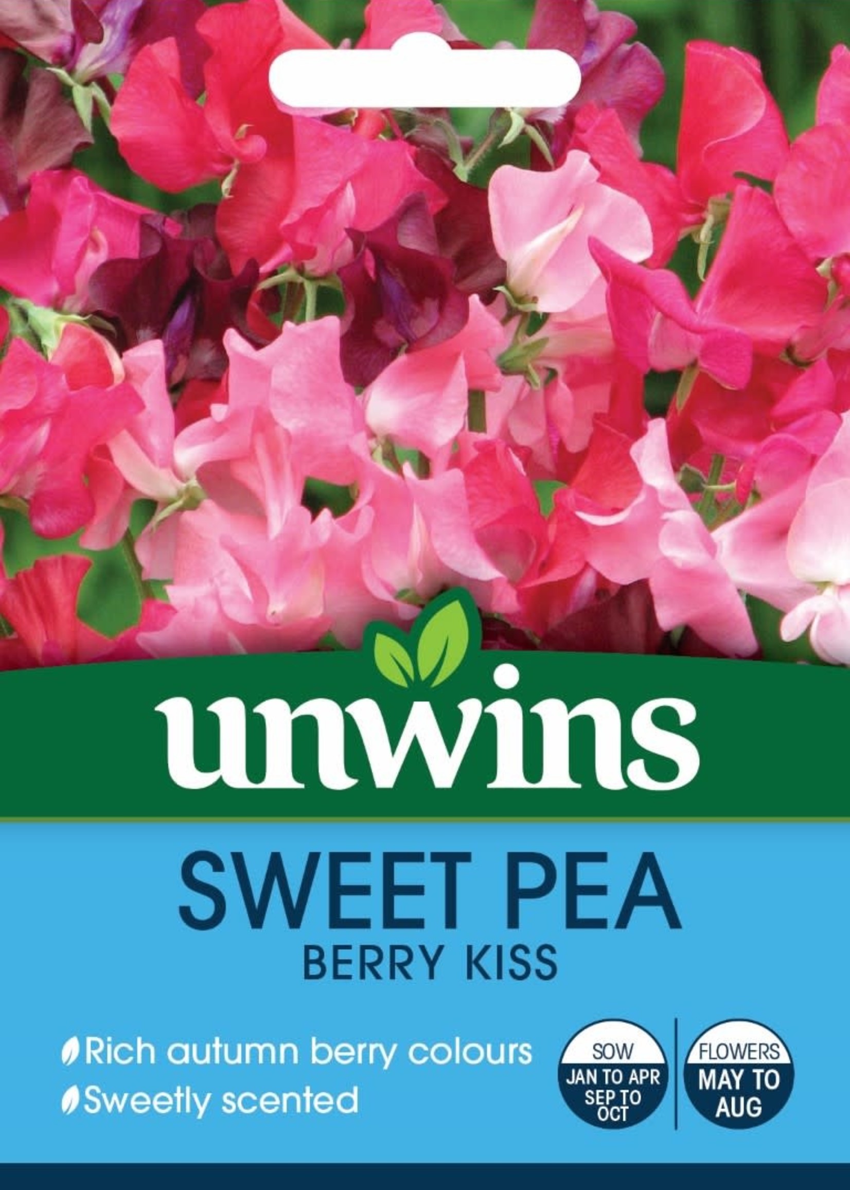 Unwins Sweet Pea - Berry Kiss