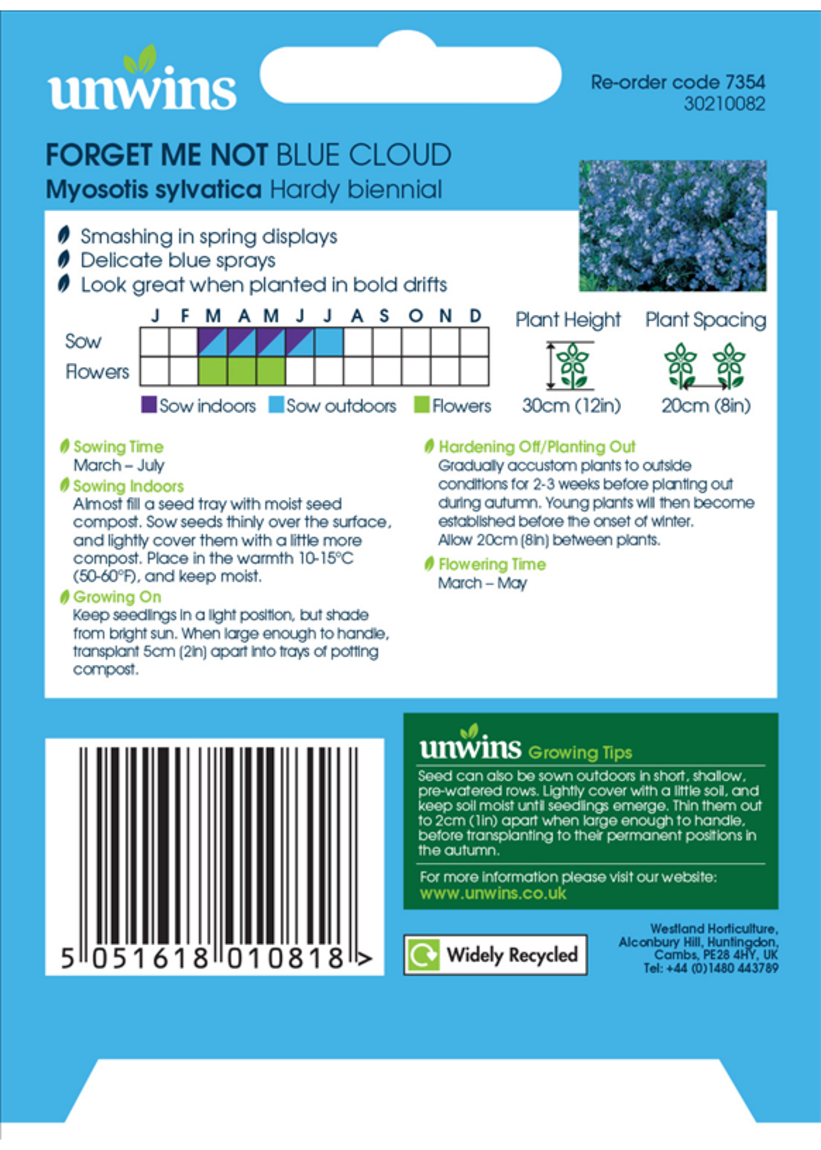 Unwins Forget Me Not - Blue Cloud