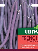 Unwins French Bean (Dwarf) - Amethyst