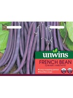 Unwins French Bean (Dwarf) - Amethyst