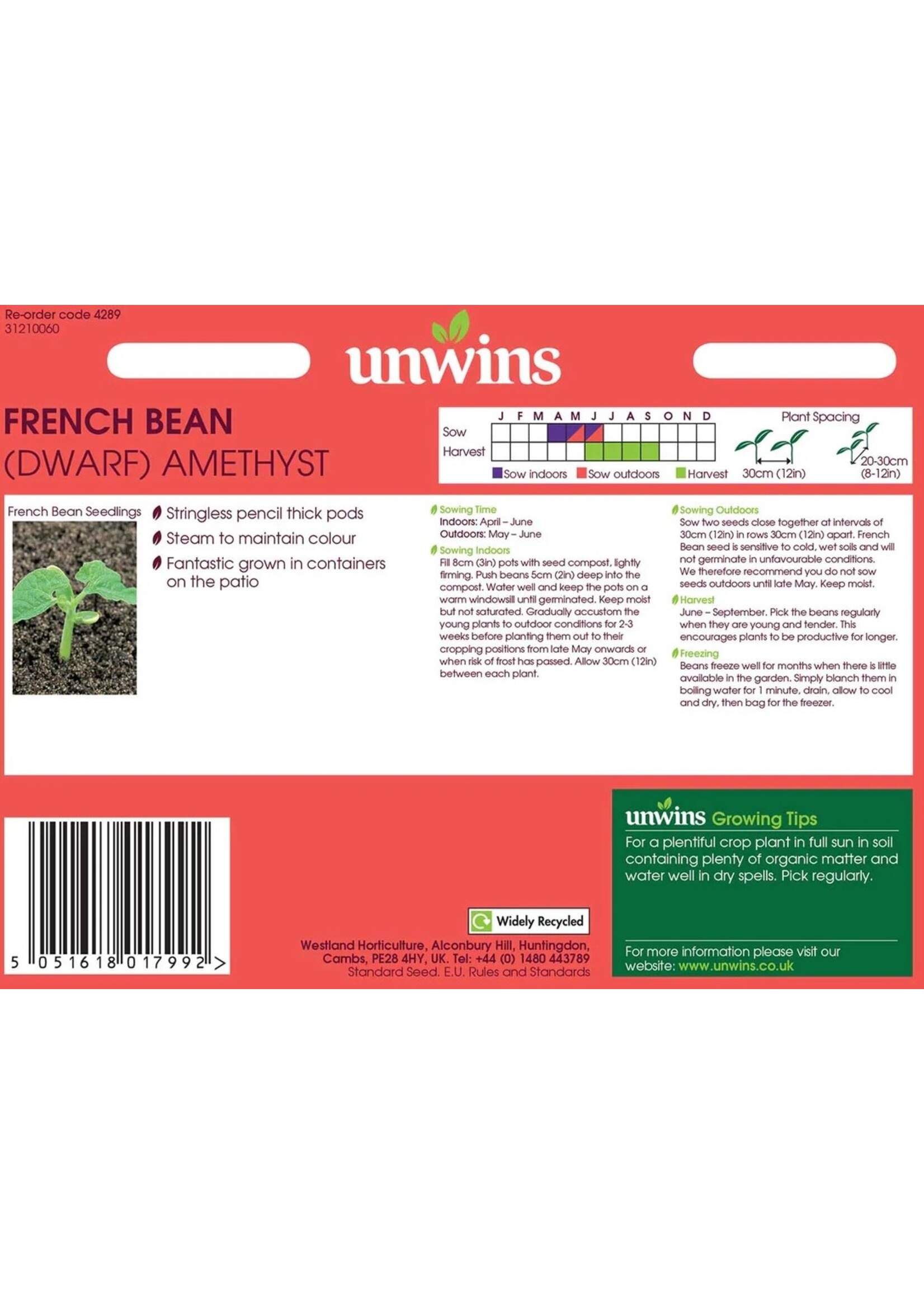 Unwins French Bean (Dwarf) - Amethyst