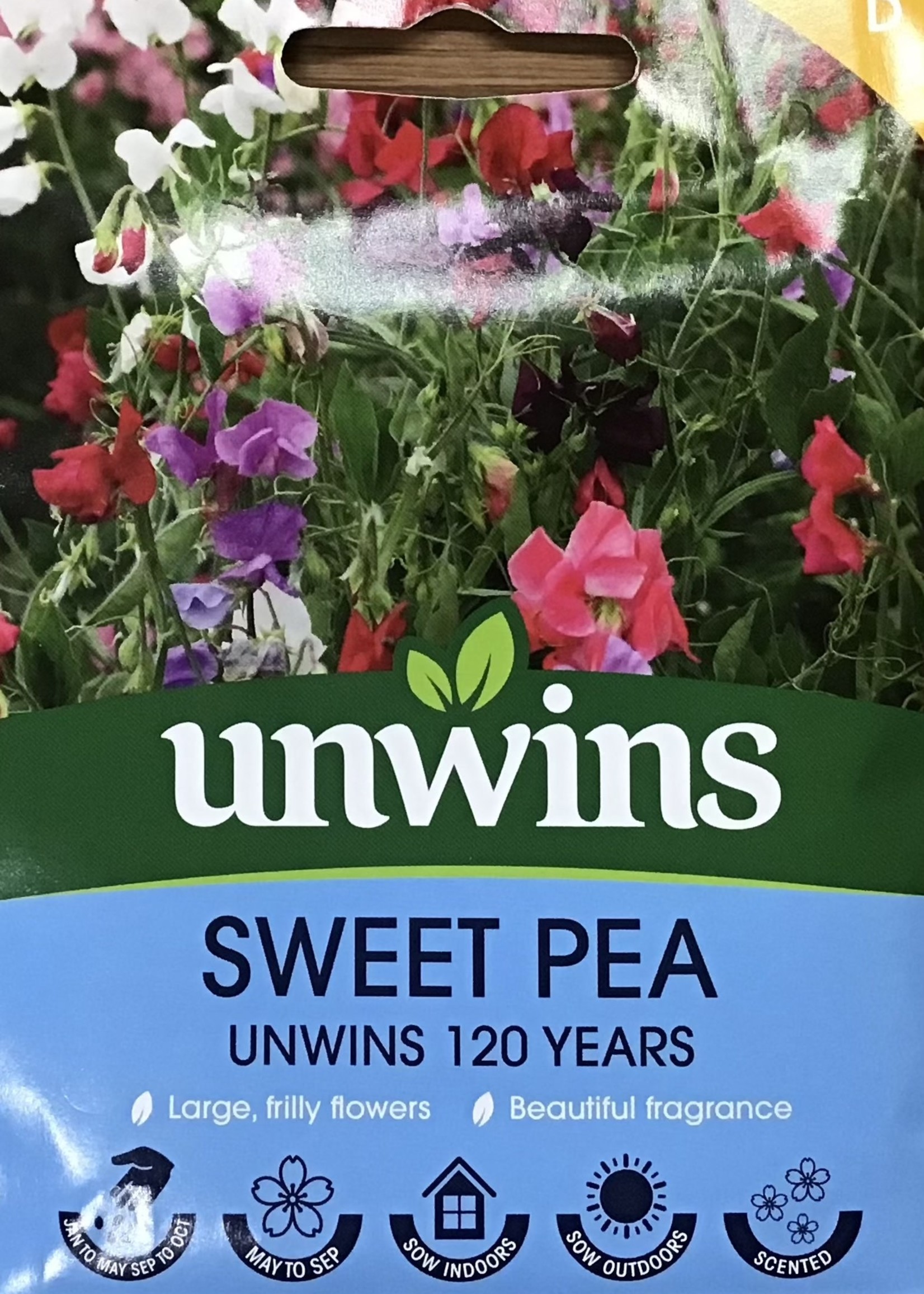 Unwins Sweet Pea - Unwins 120 Years