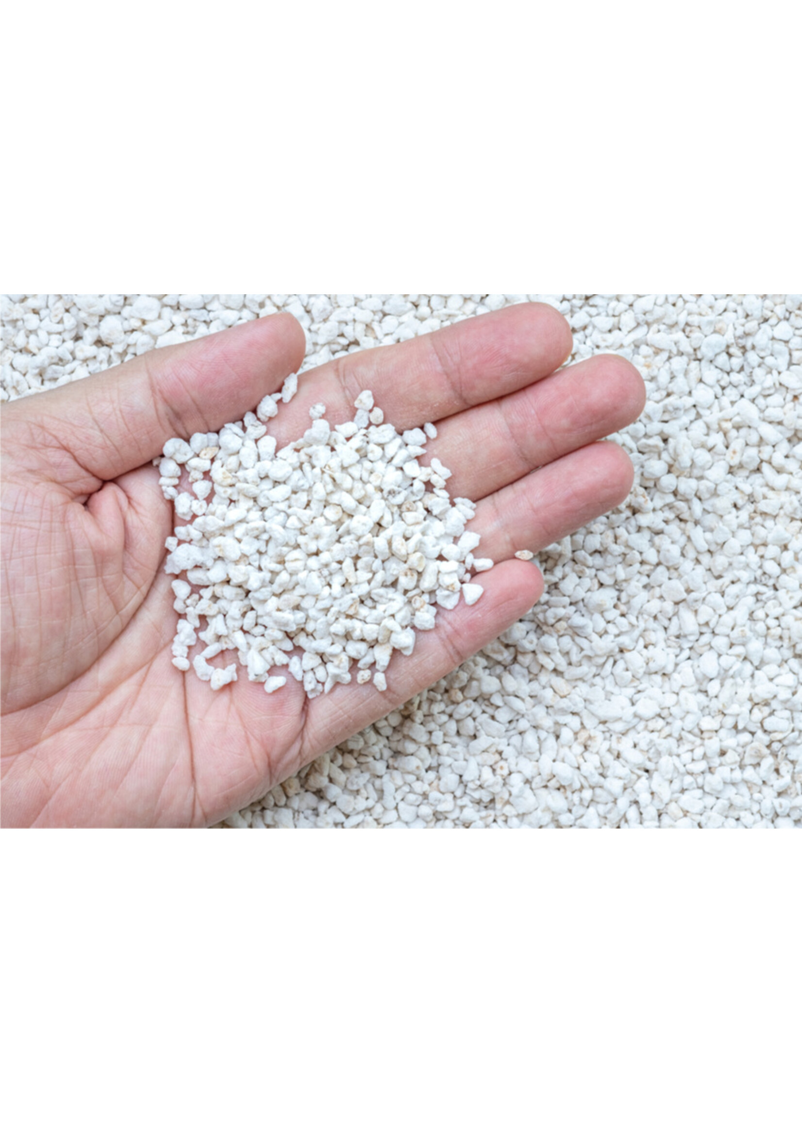 Vitax Vitax Perlite 20L