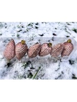 Decoris Pinecone Shatterproof Handing decoration - Set of 6 Pink Champagne baubles 4.5 x 8cm