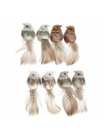 Decoris Clip on birds Box of 2