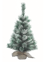 Christmas Tree  Vancouver Style