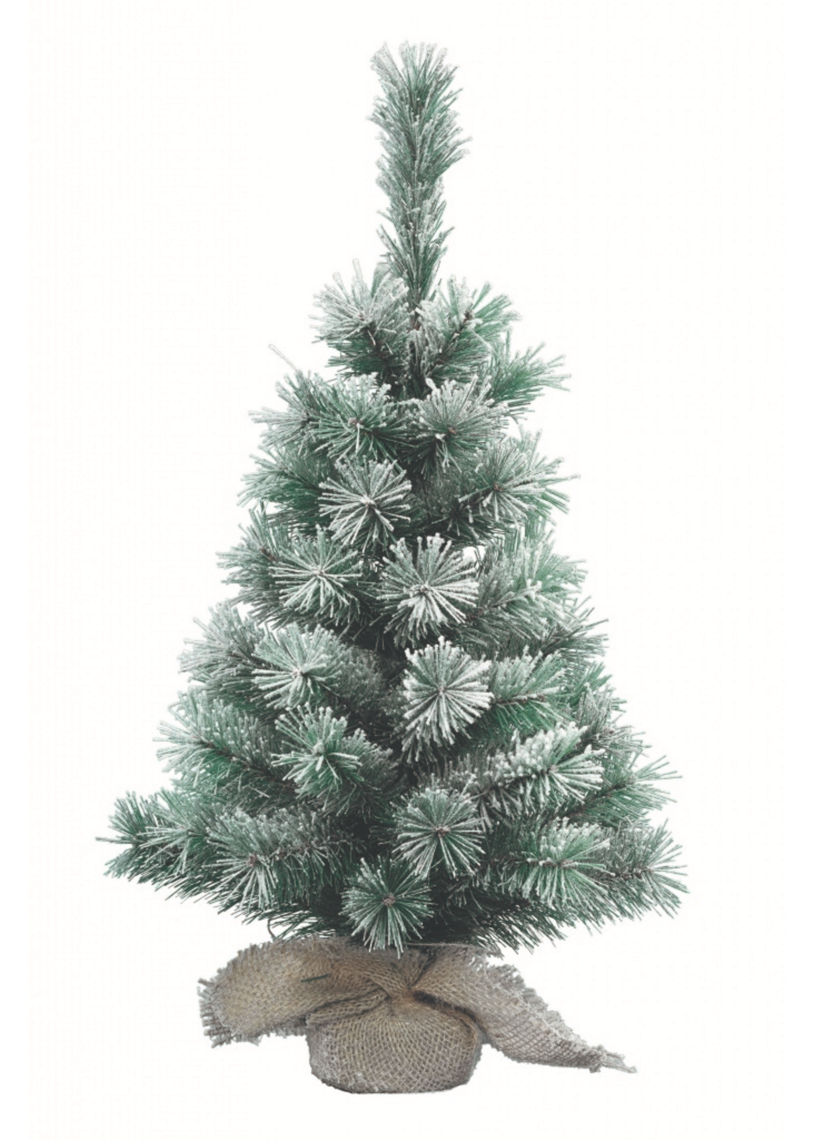 Christmas Tree  Vancouver Style