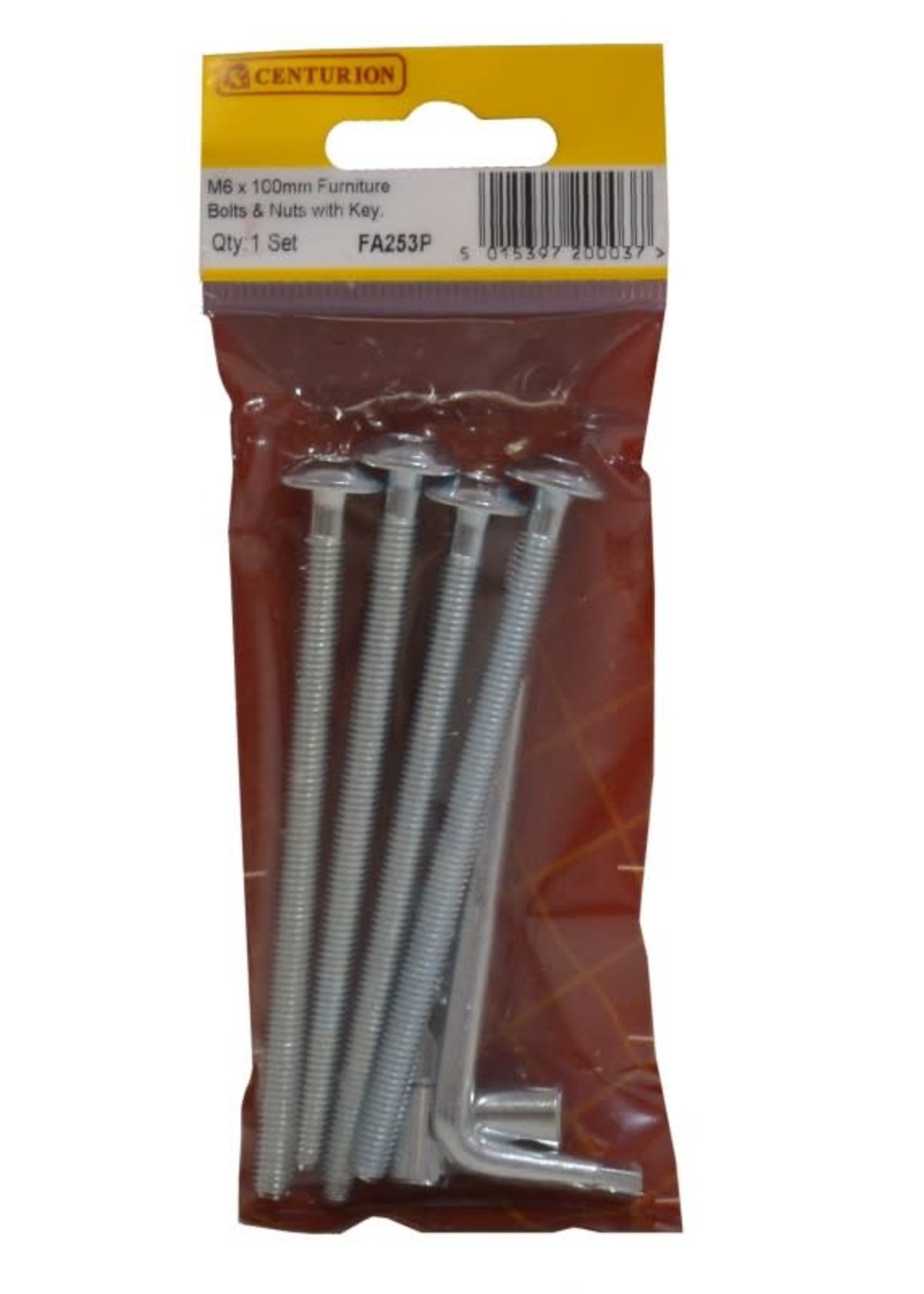 Centurion Furniture Bolts & Nuts with Hex Key M6 x 100mm (Pack of 5)