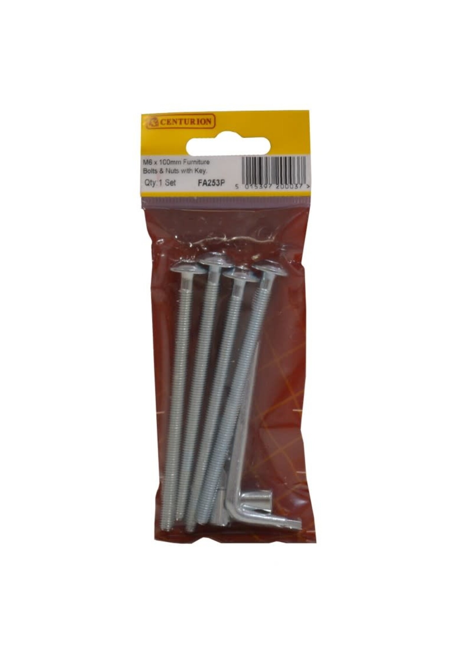 Centurion Furniture Bolts & Nuts with Hex Key M6 x 100mm (Pack of 4)