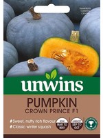 Unwins Pumpkin  - Crown Prince F1