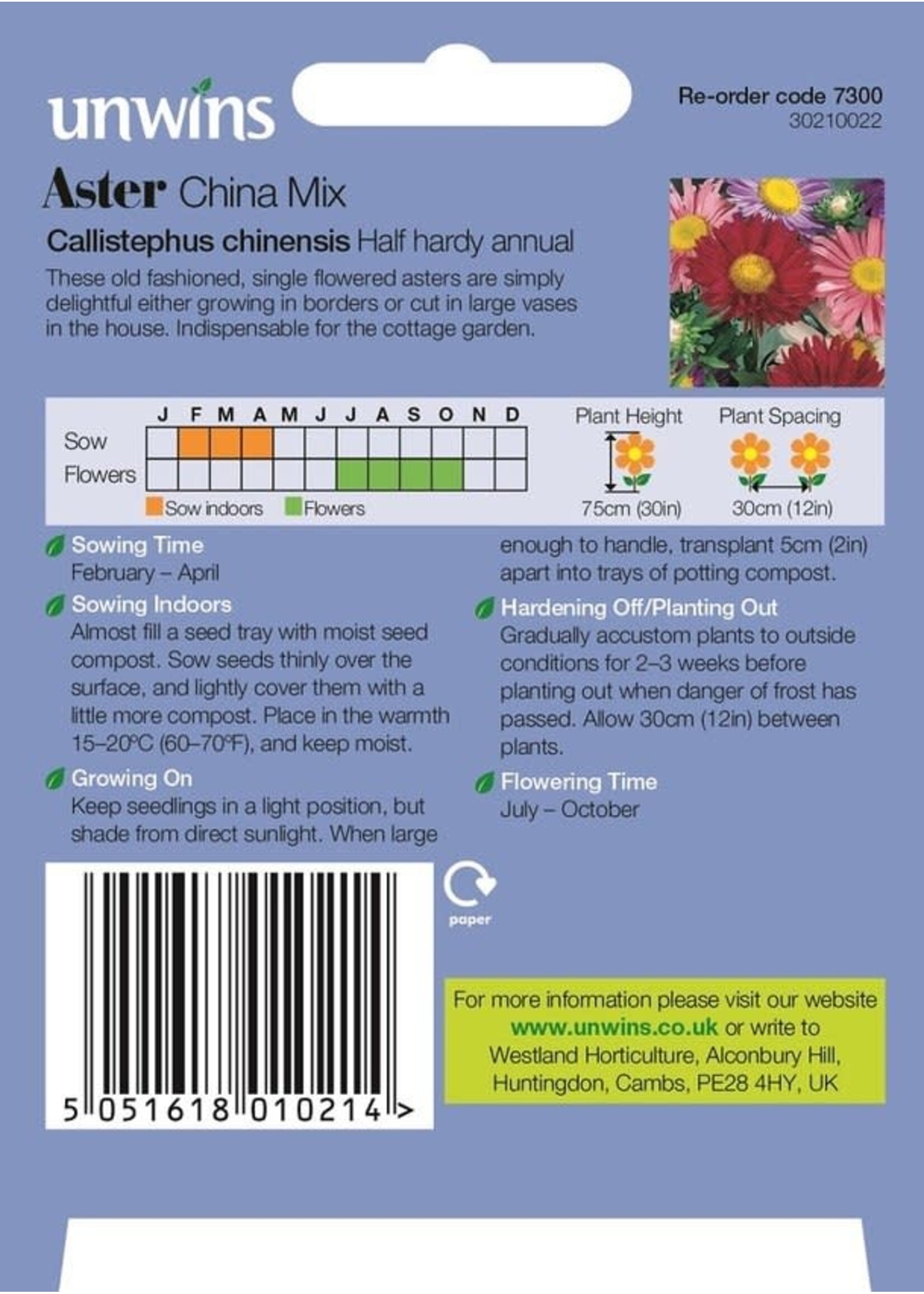 Unwins Aster - China Mix