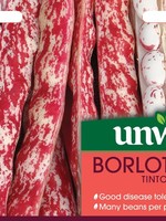 Unwins Borlotti Bean - Tintoretto