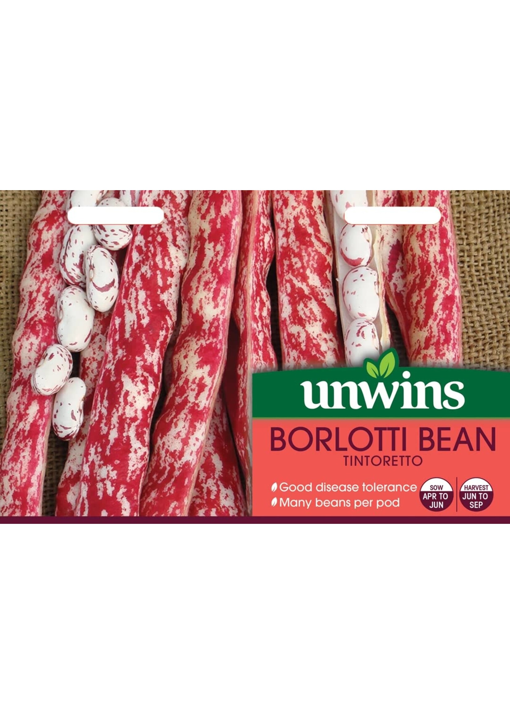 Unwins Borlotti Bean - Tintoretto