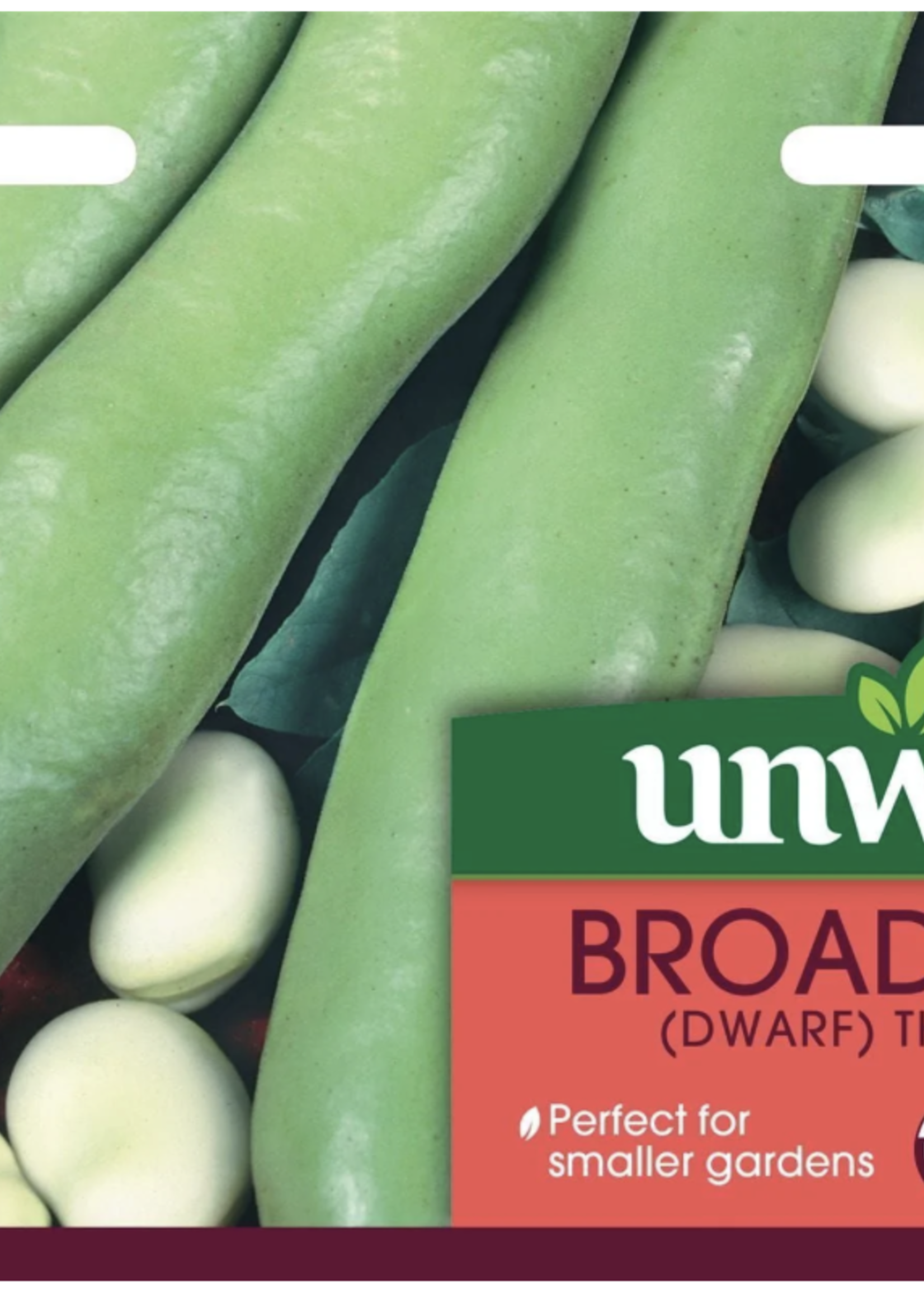 Unwins Broad Bean (Dwarf) - The Sutton