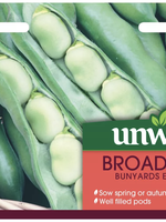 Unwins Broad Bean - Bunyards Exhibition