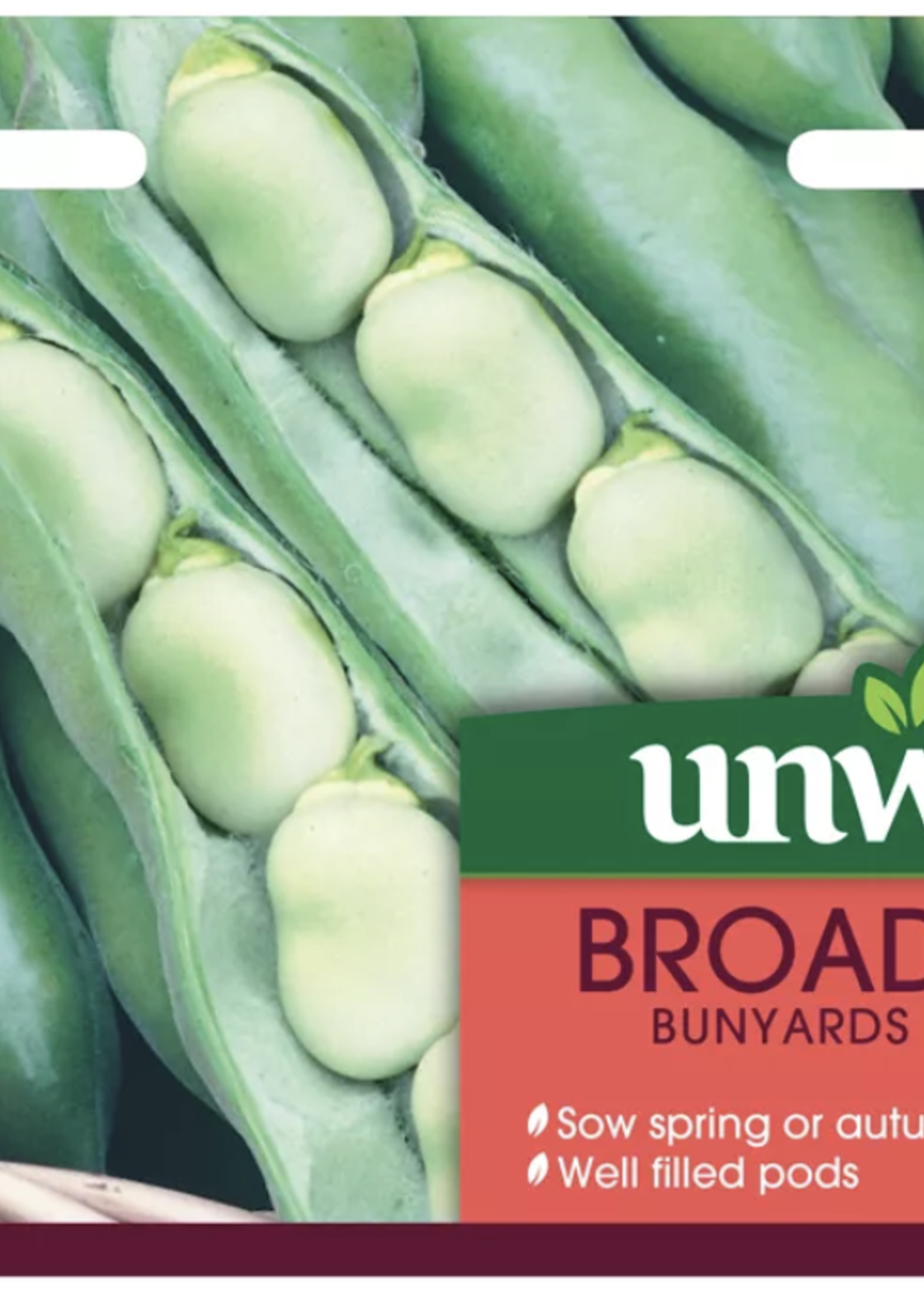 Unwins Broad Bean - Bunyards Exhibition