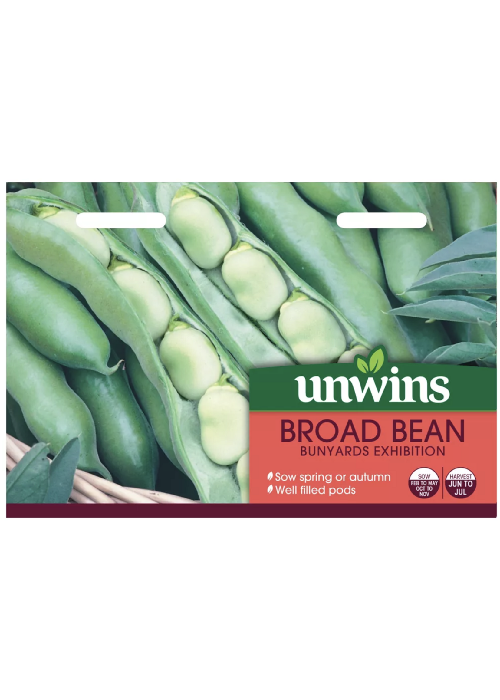 Unwins Broad Bean - Bunyards Exhibition
