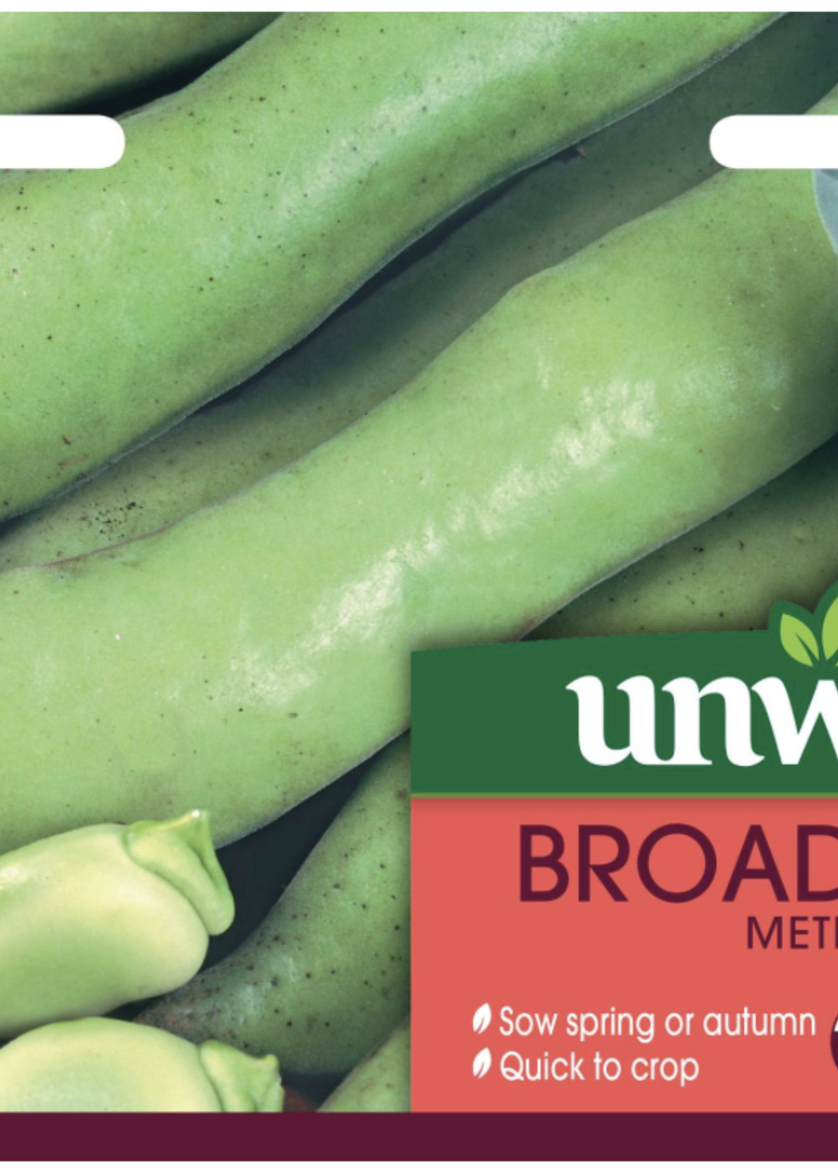Unwins Broad Bean - Meteor