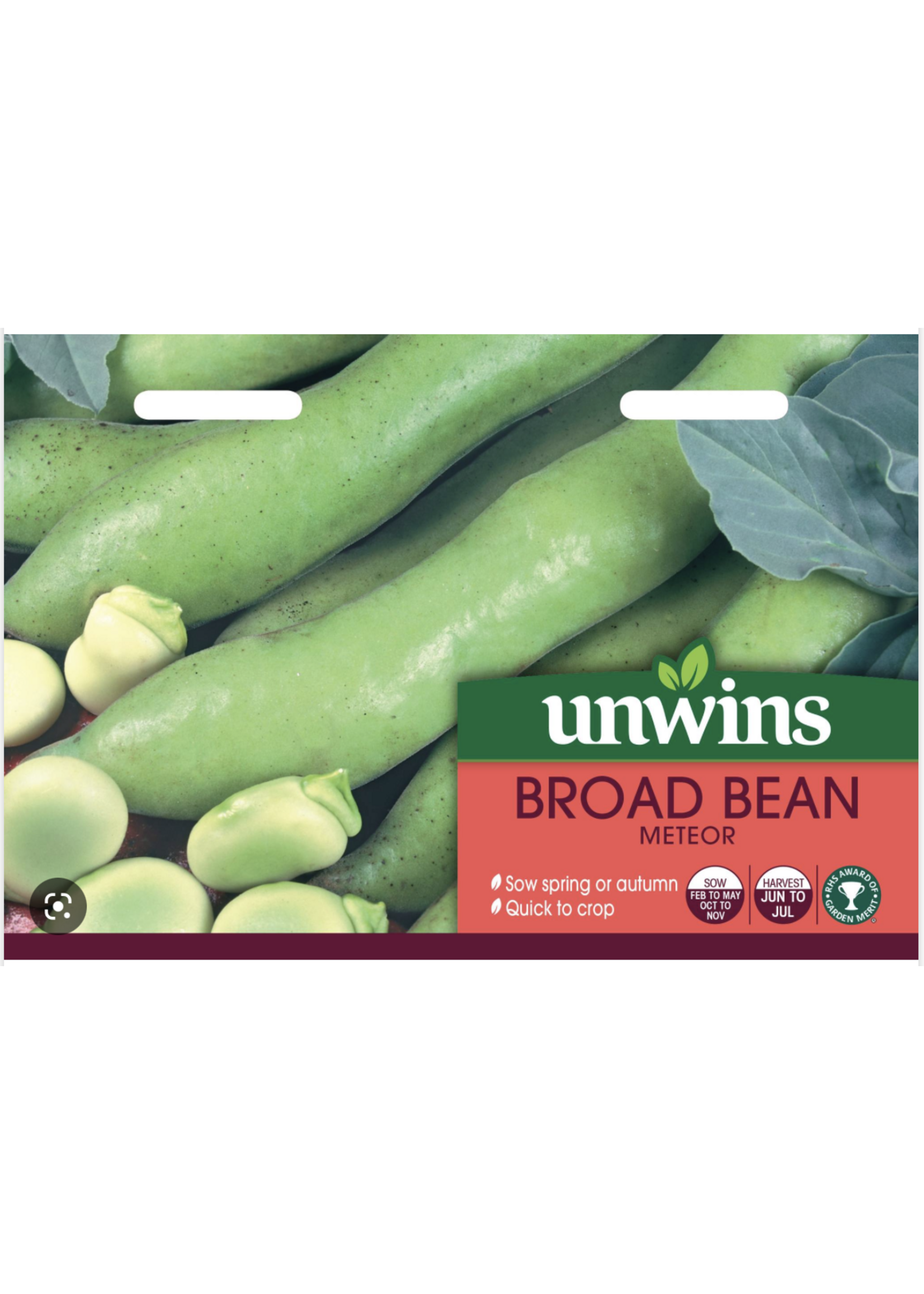 Unwins Broad Bean - Meteor
