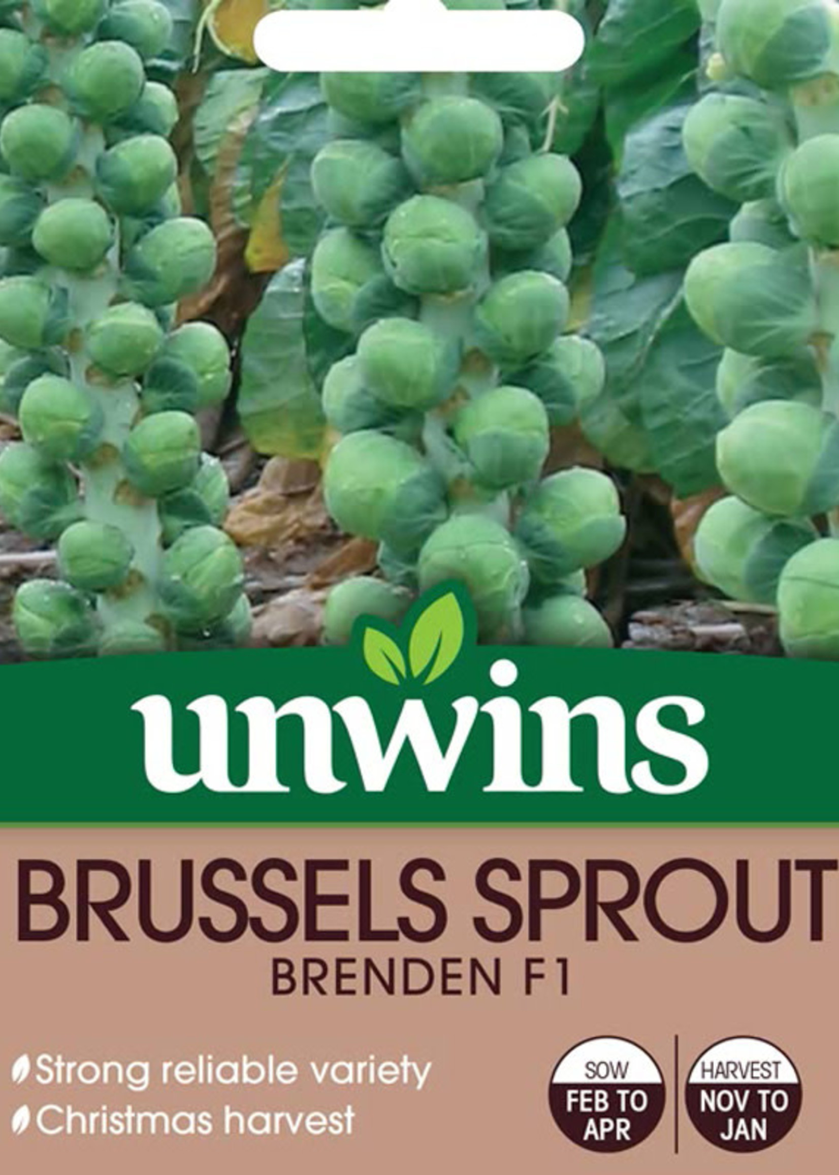 Unwins Brussel Sprout Brenden F1