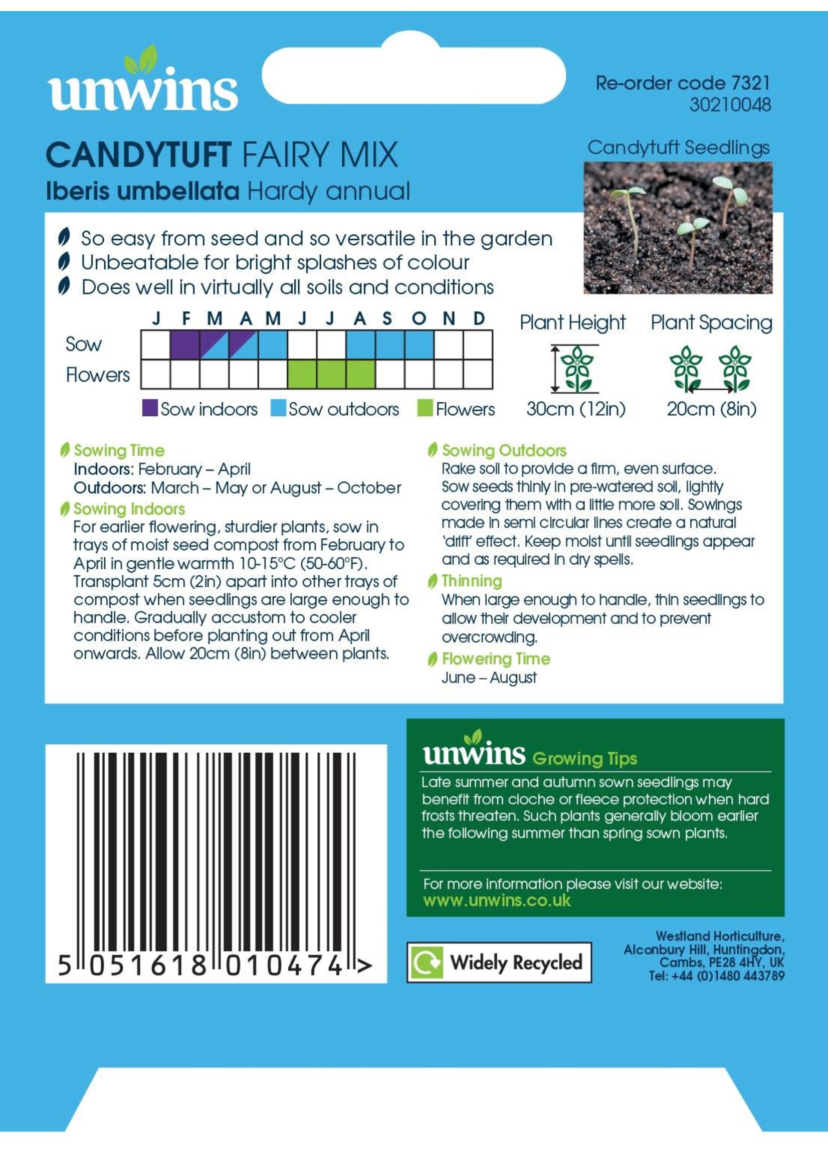 Unwins Candytuft - Fairy Mix