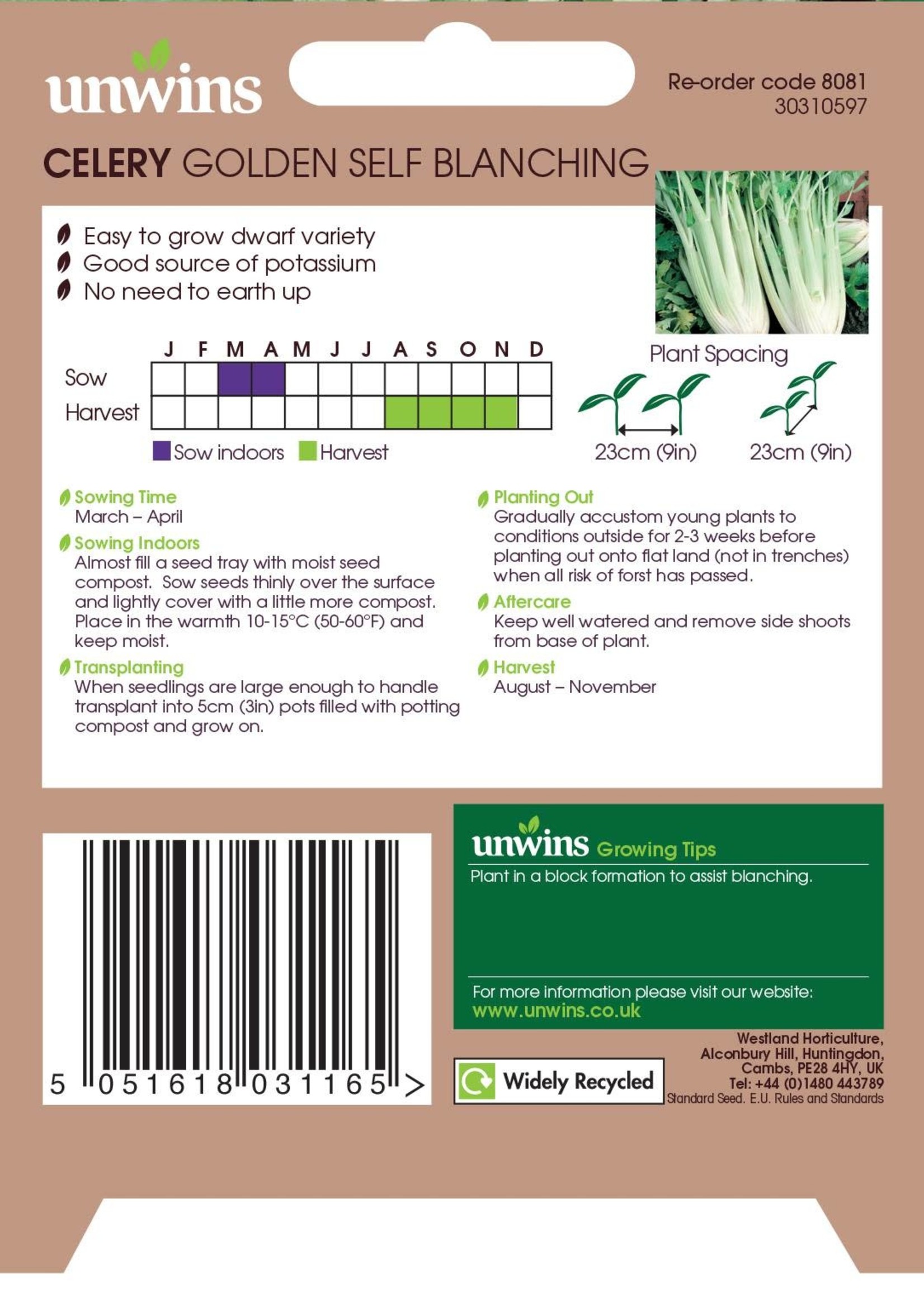 Unwins Celery golden Self Blanching