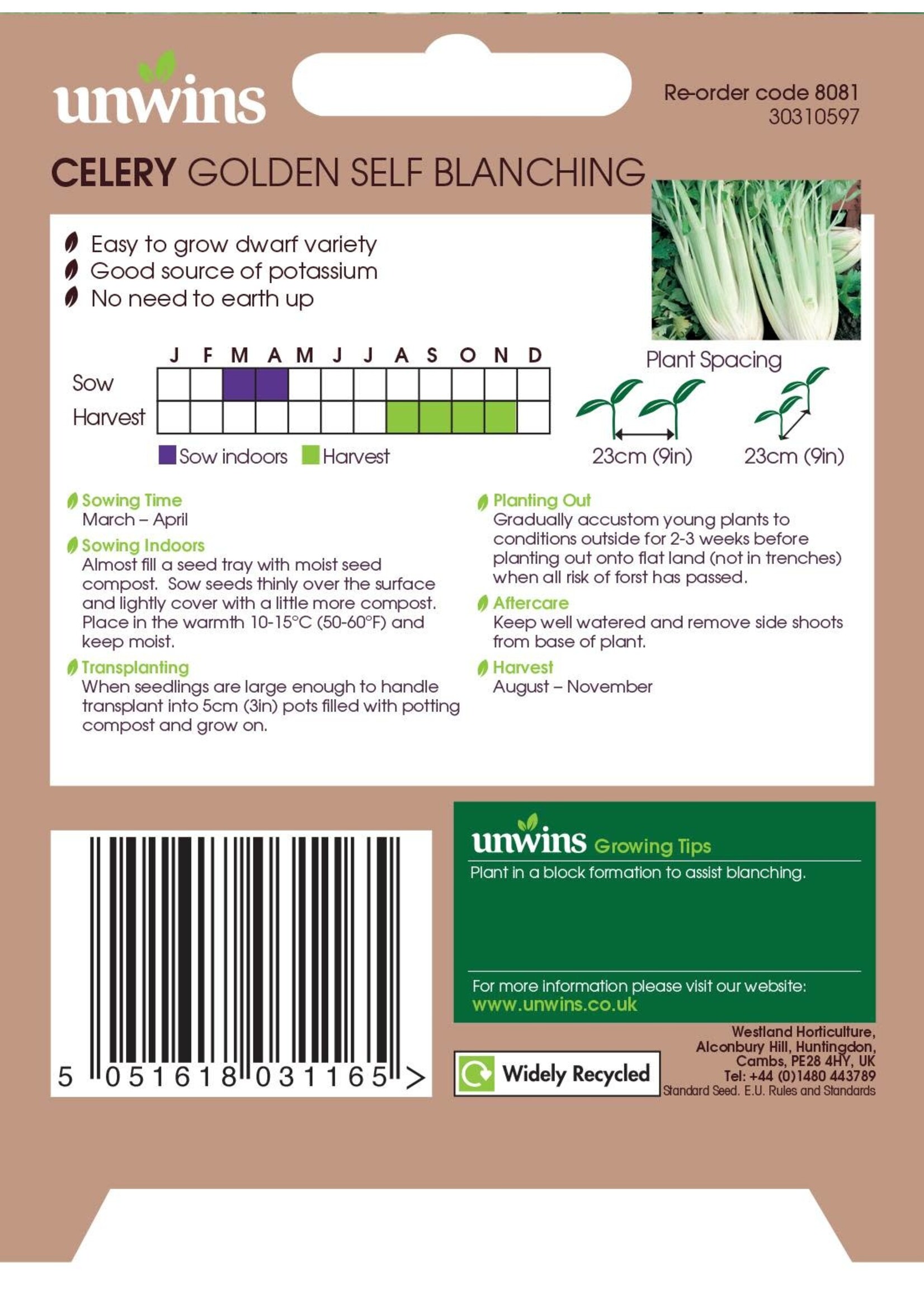 Unwins Celery golden Self Blanching