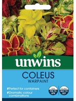 Unwins Coleus - Warpaint