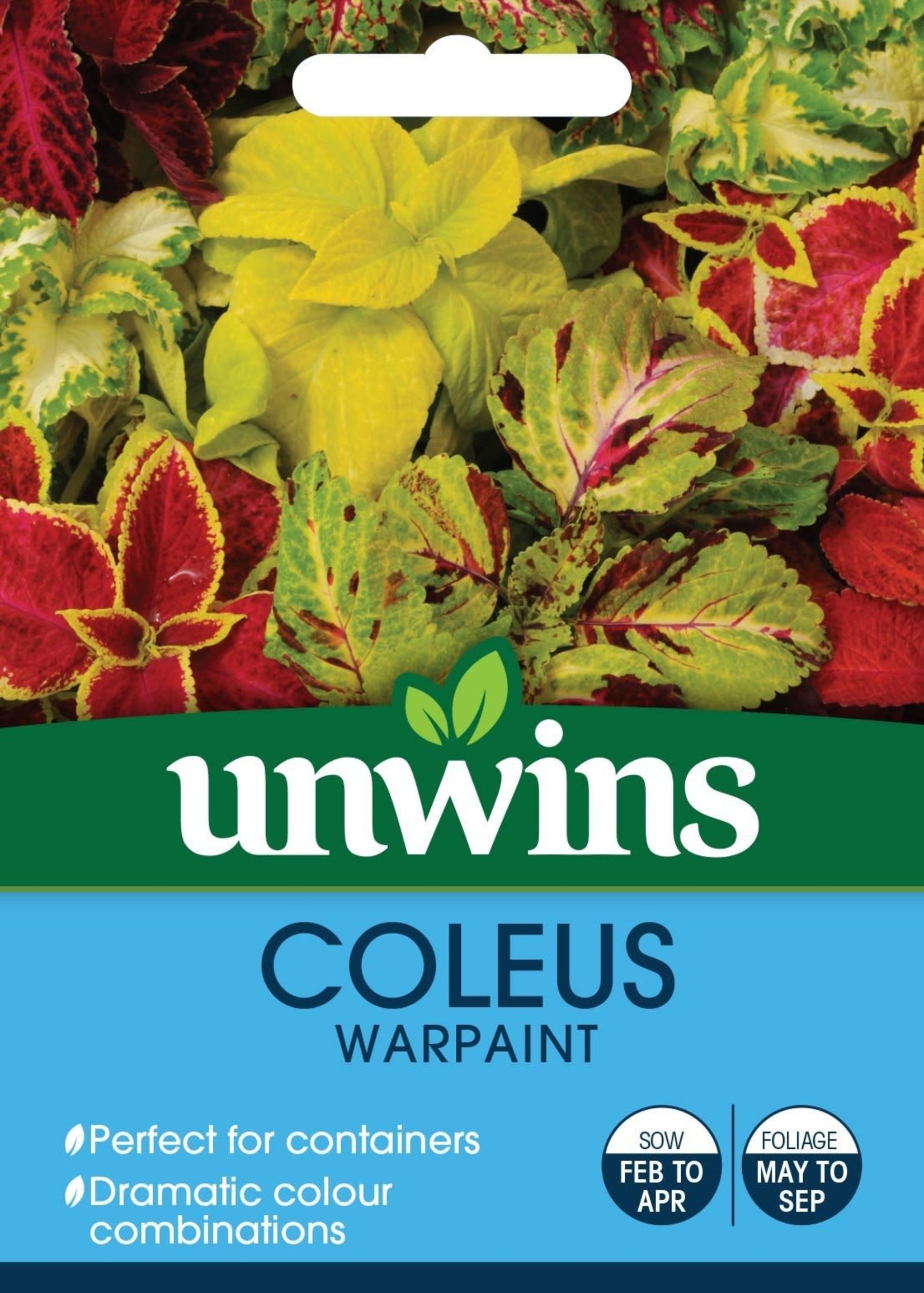 Unwins Coleus - Warpaint