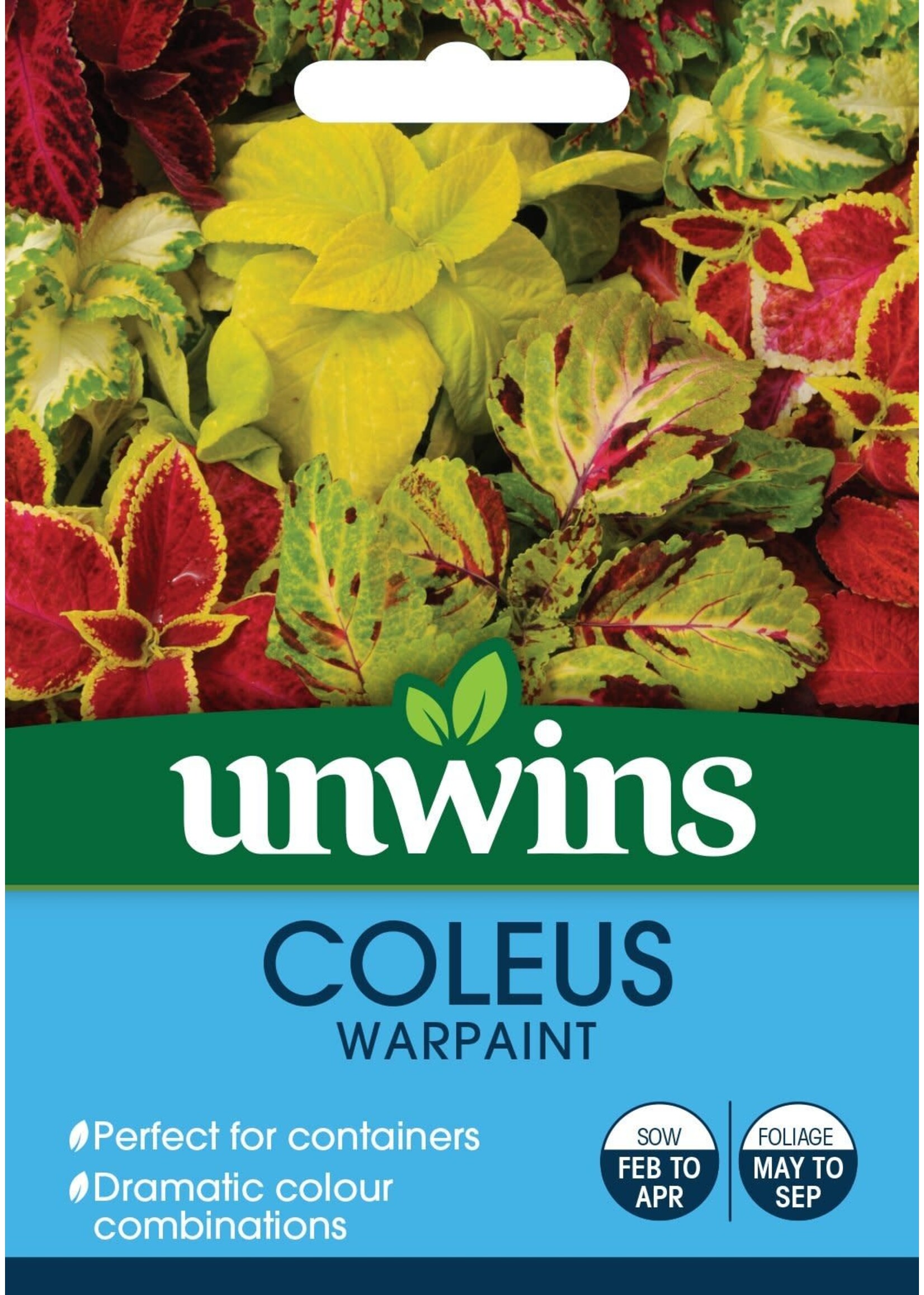 Unwins Coleus - Warpaint