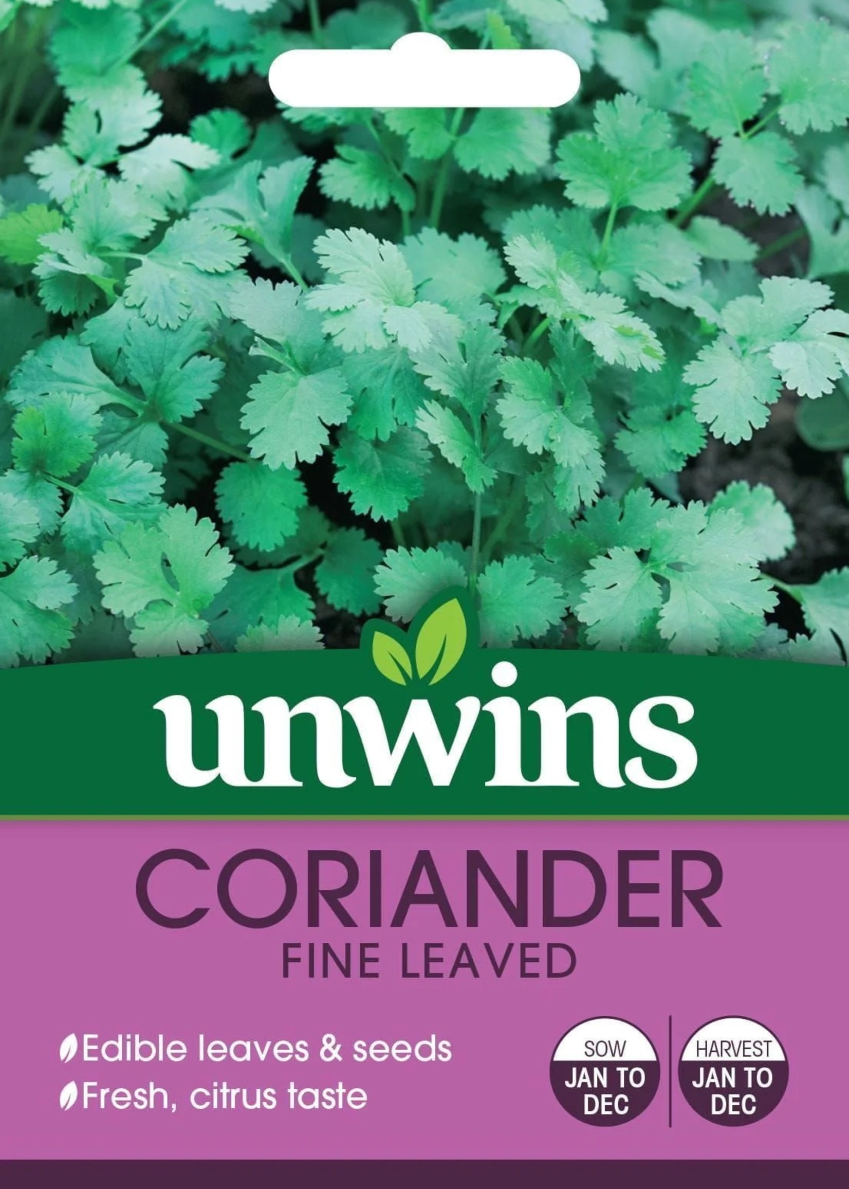 Unwins Coriander - Fine Leaved