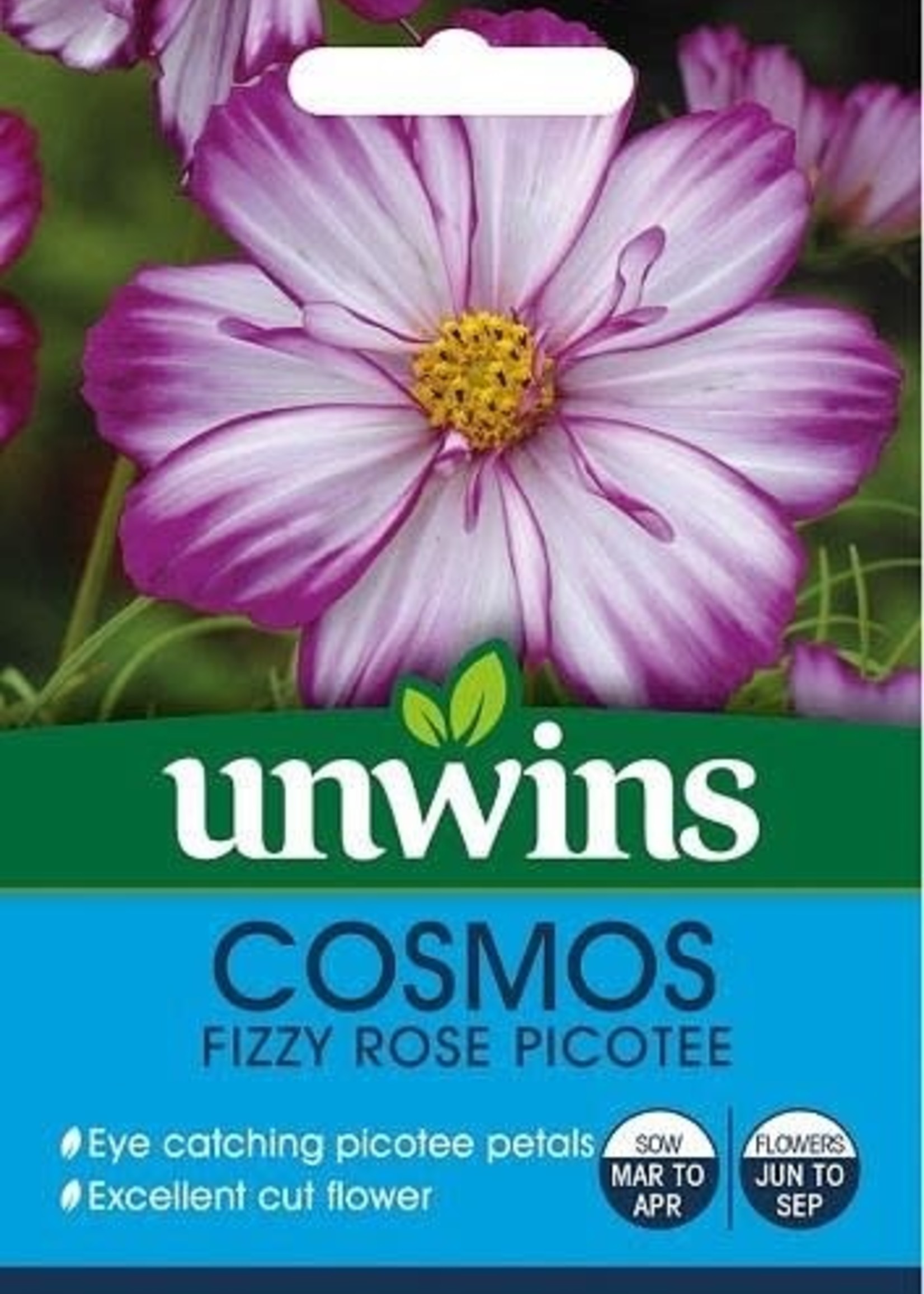 Unwins Cosmos - Fizzy Rose Picotee