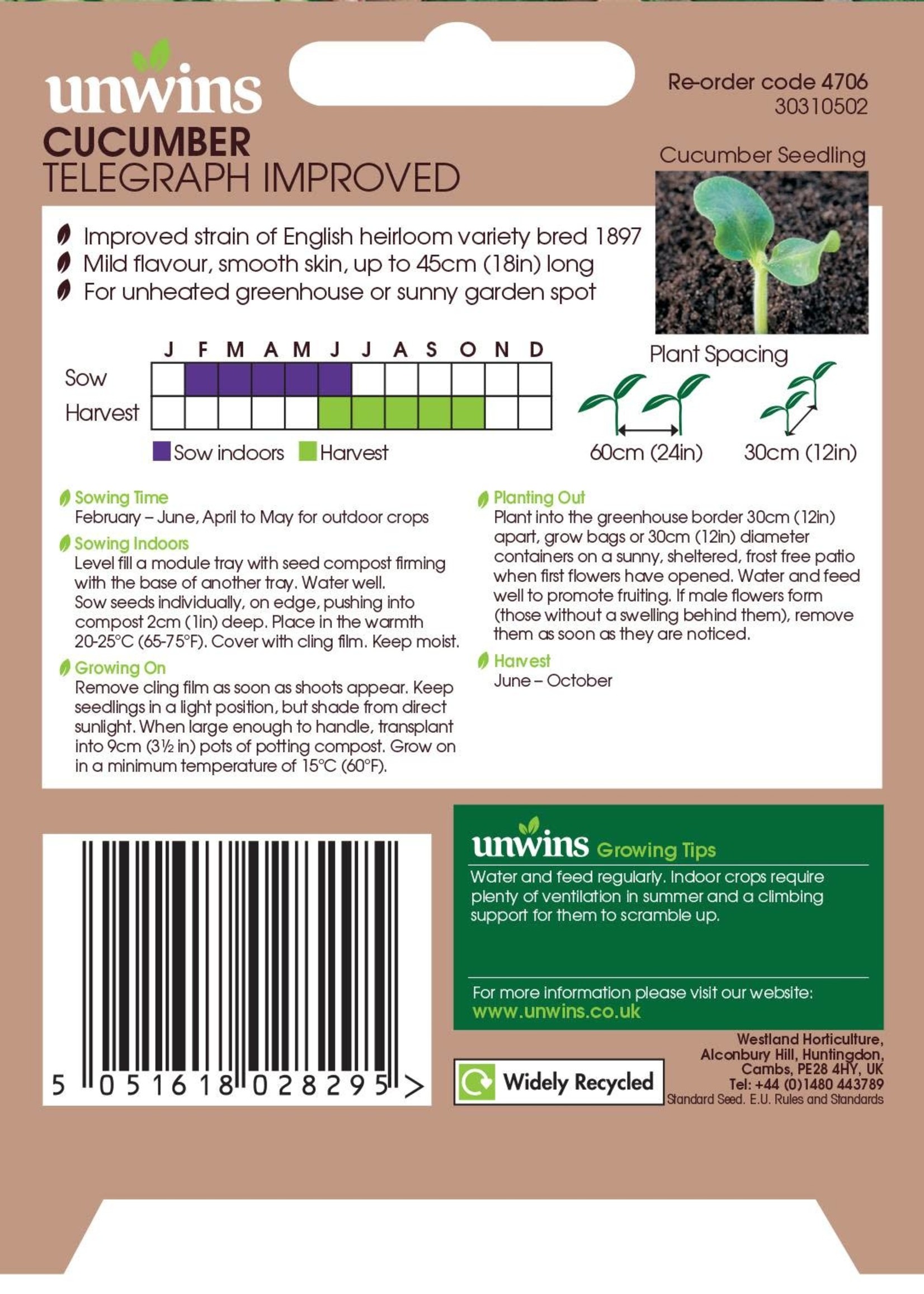 Unwins Cucumber - Telegraph Improved