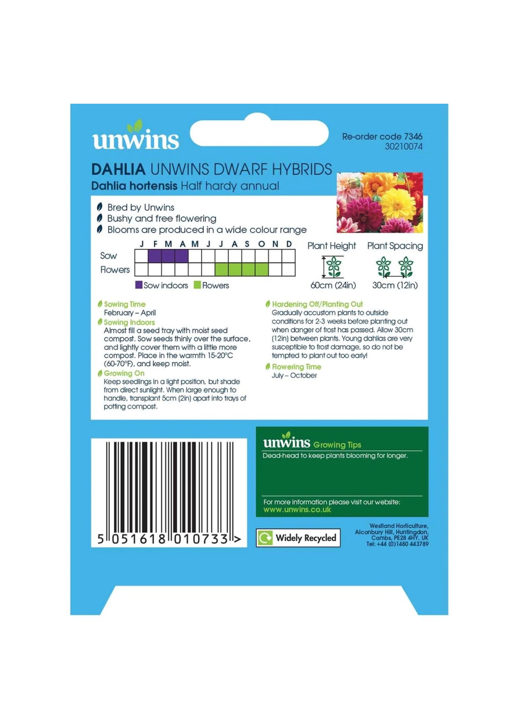 Unwins Dahlia - Unwins Dwarf Hybrids