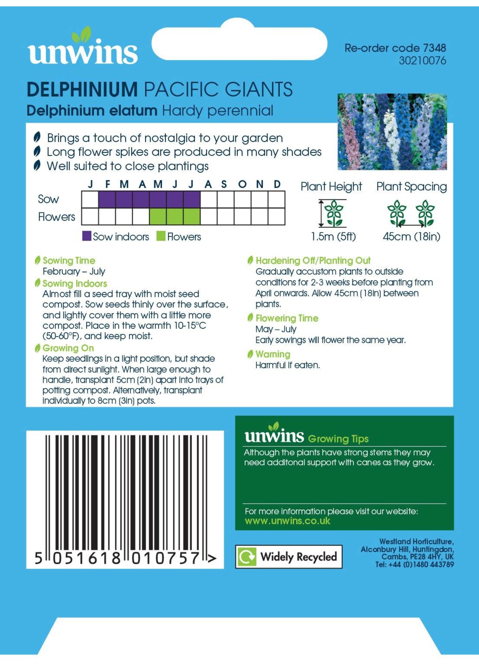 Unwins Delphinium - Pacific Giants