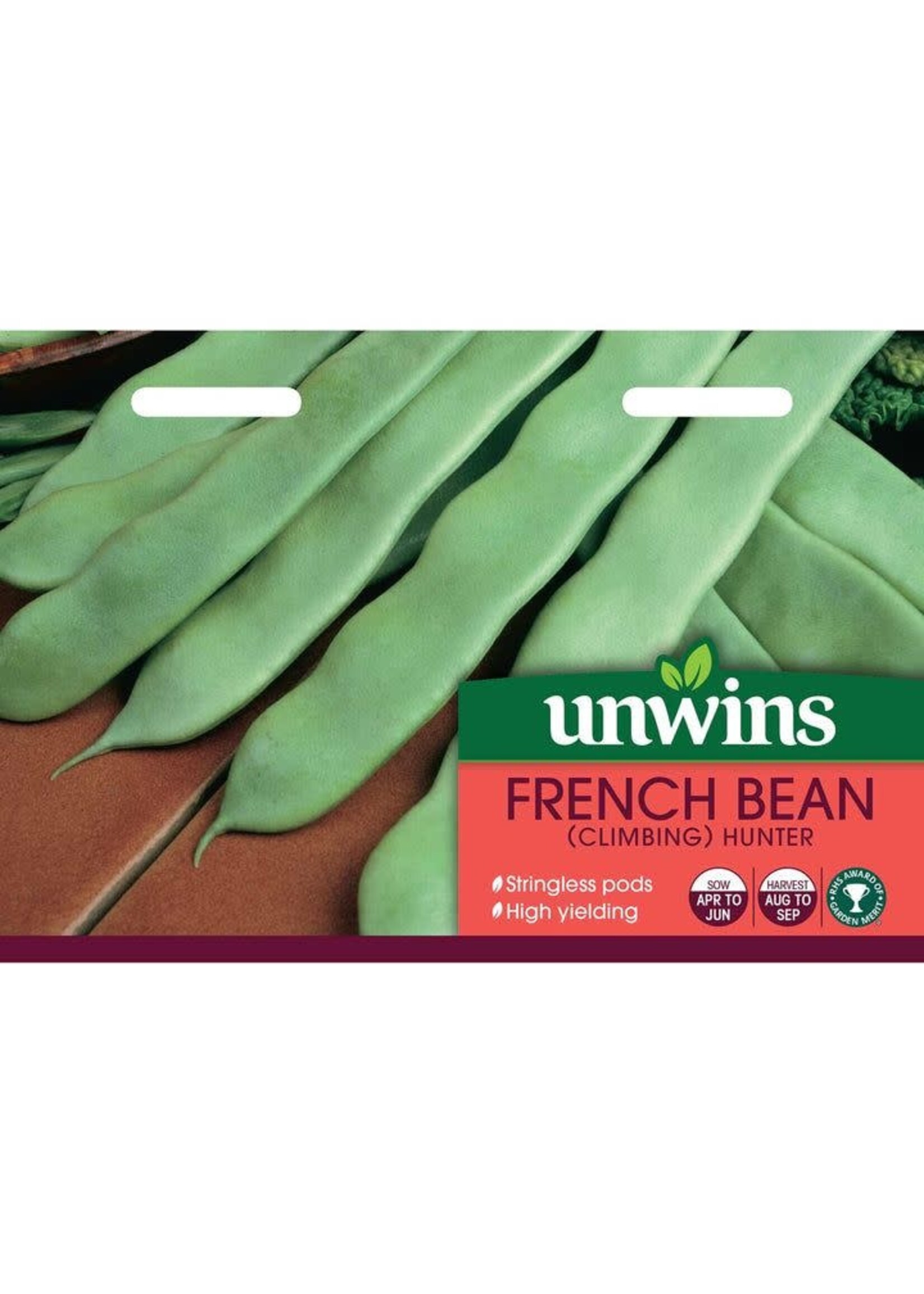 Unwins French Bean - (Climbing)  Hunter