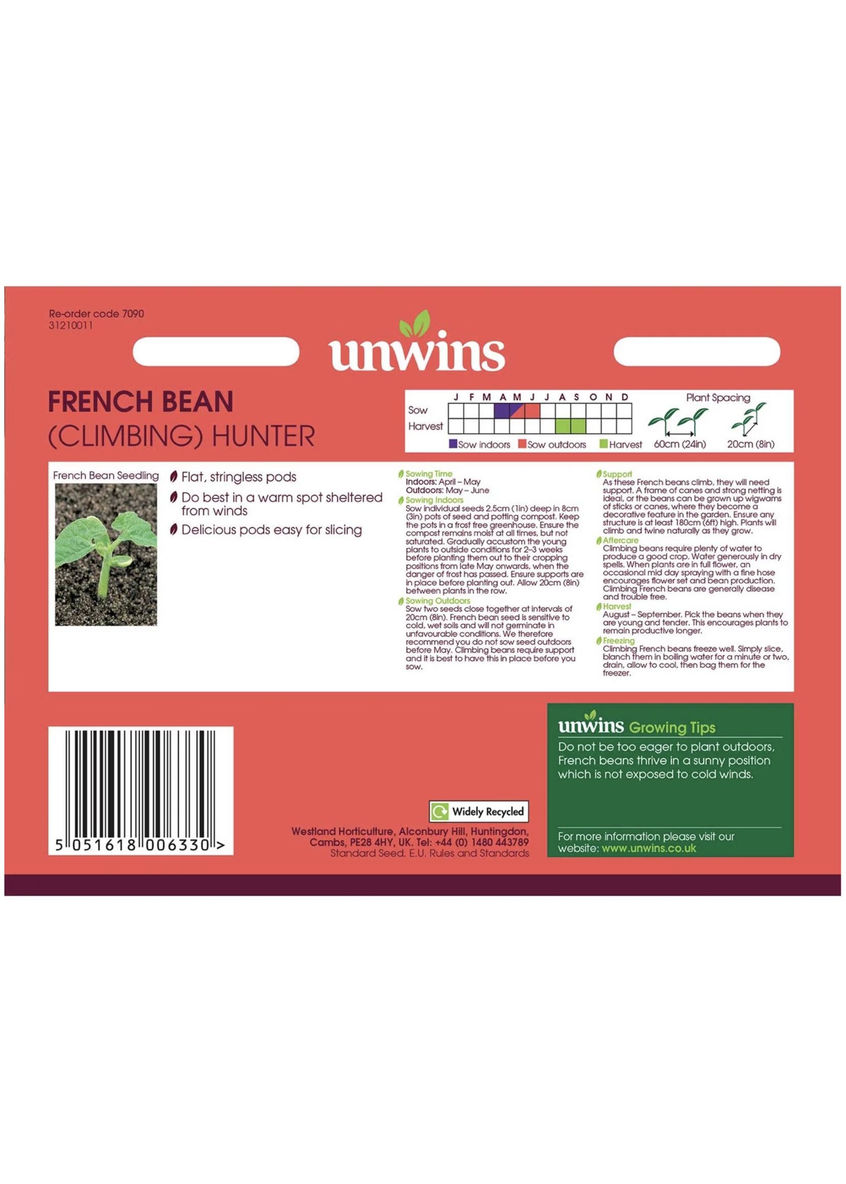 Unwins French Bean - (Climbing)  Hunter