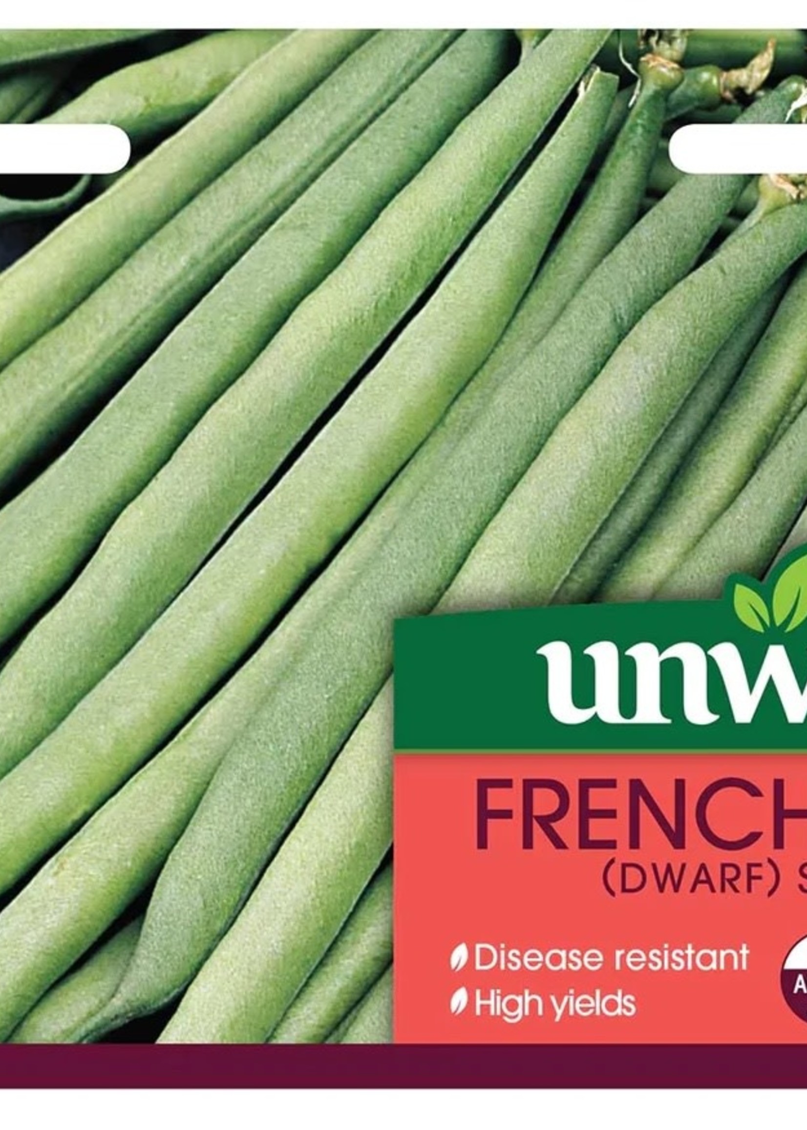 Unwins French Bean (Dwarf) - Stanley