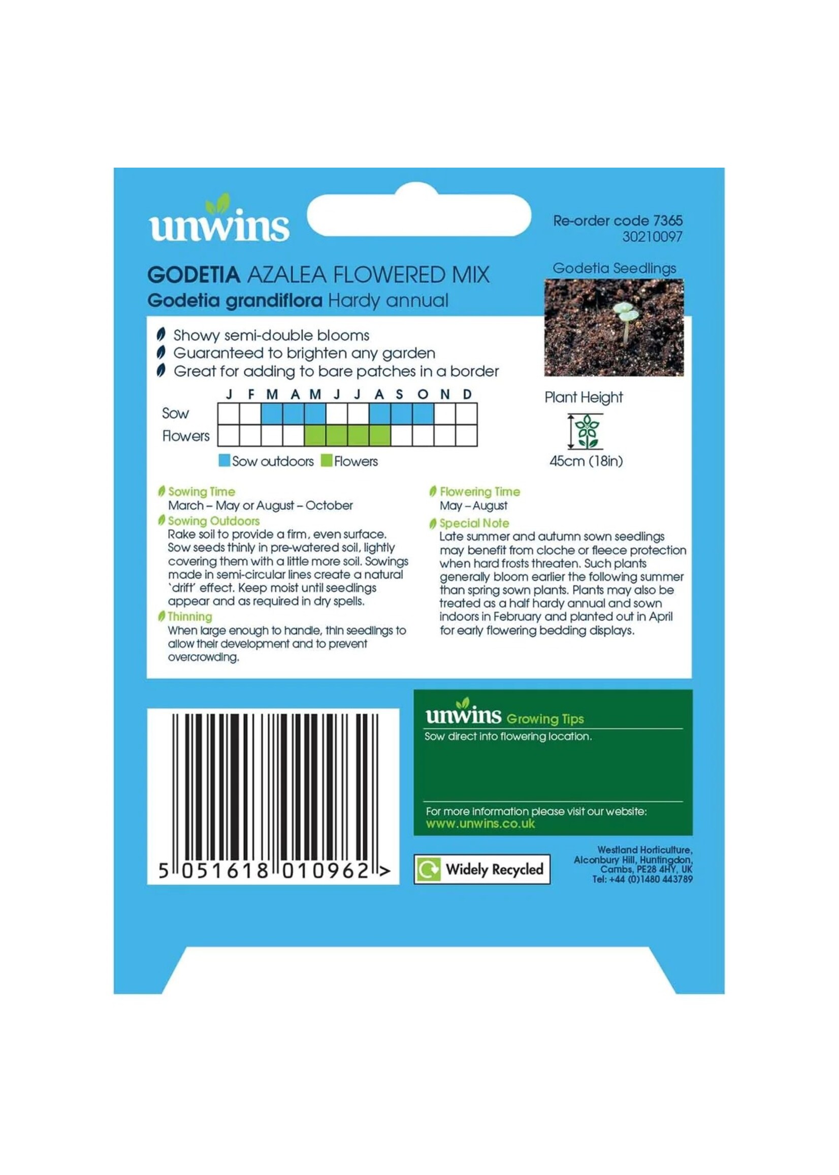 Unwins Godetia - Azalea Flowered Mix