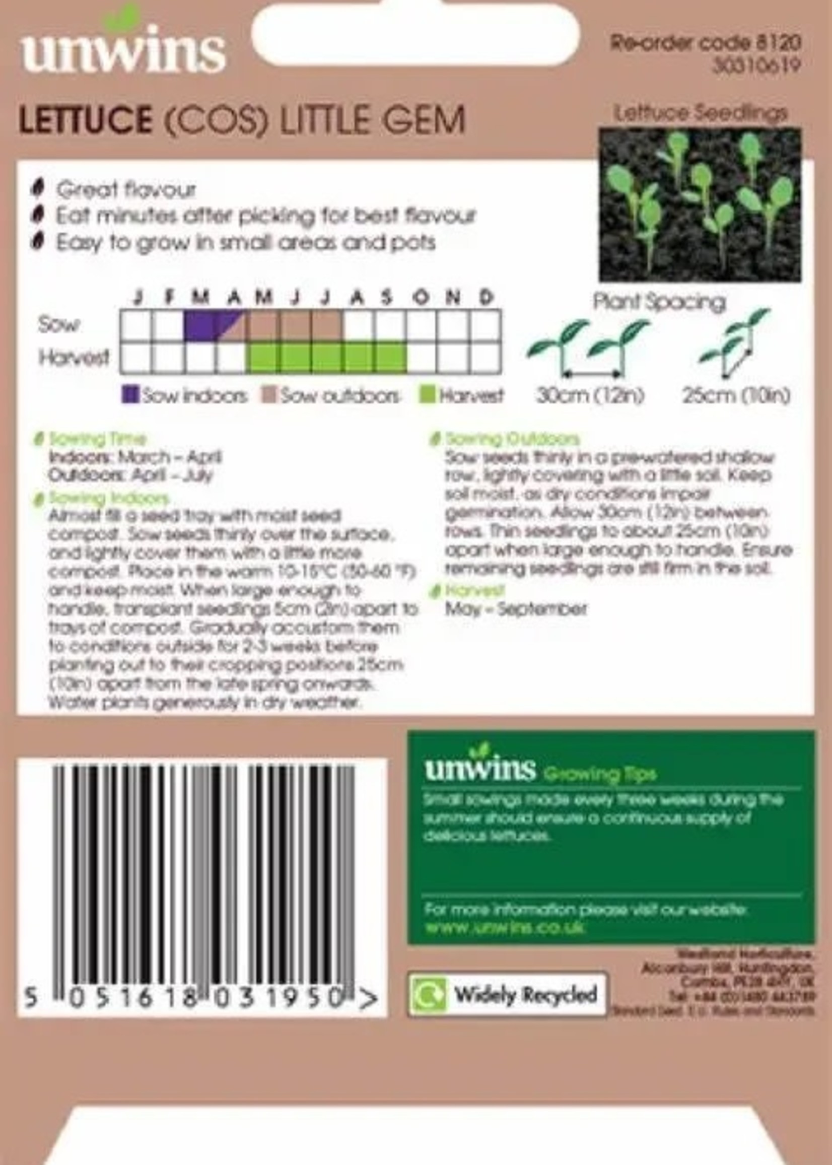 Unwins Lettuce (Cos) - Little Gem