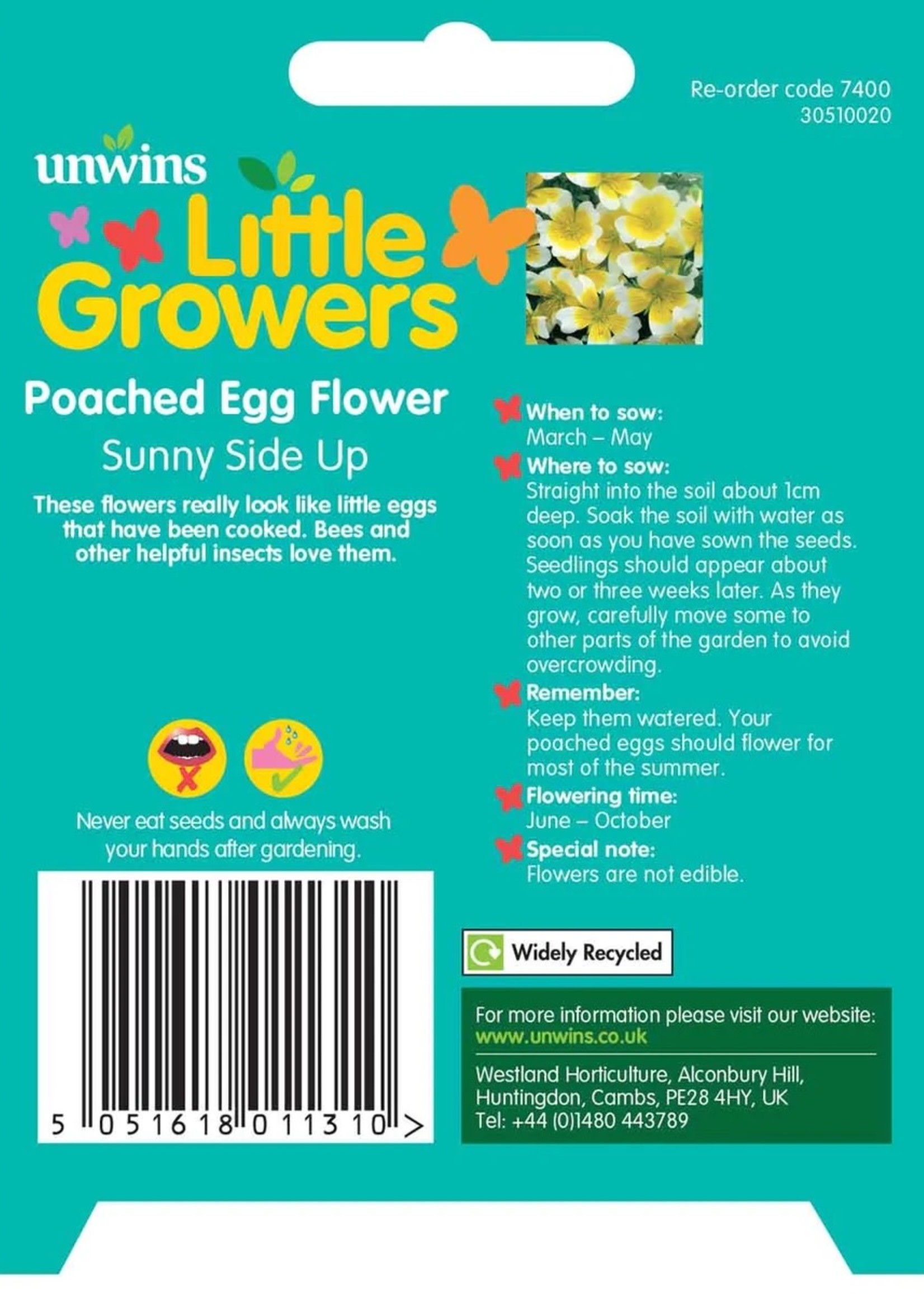 Unwins Little Growers - Poached Egg Flower