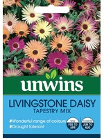 Unwins Livingstone - Daisy Tapestry Mix
