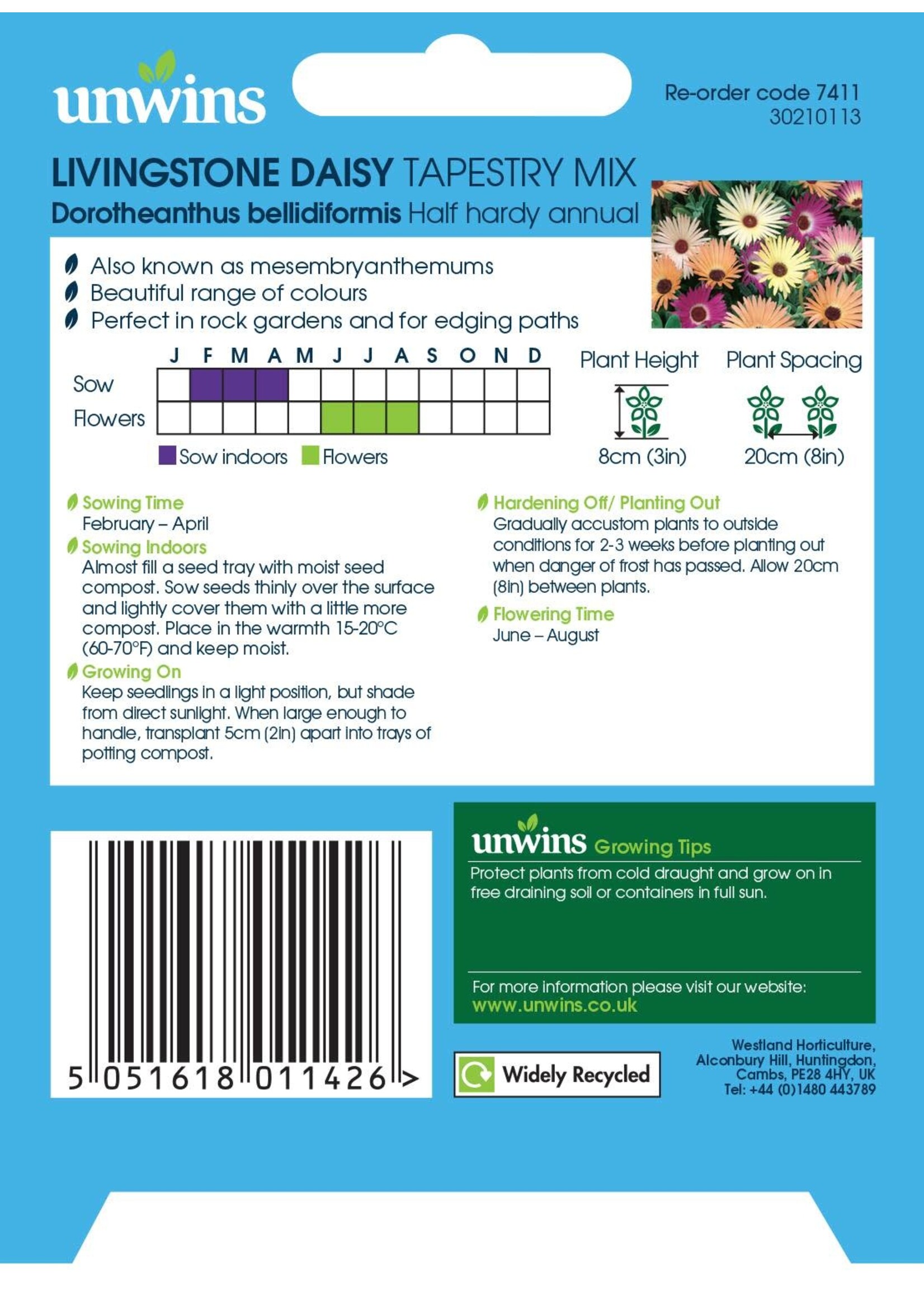 Unwins Livingstone - Daisy Tapestry Mix