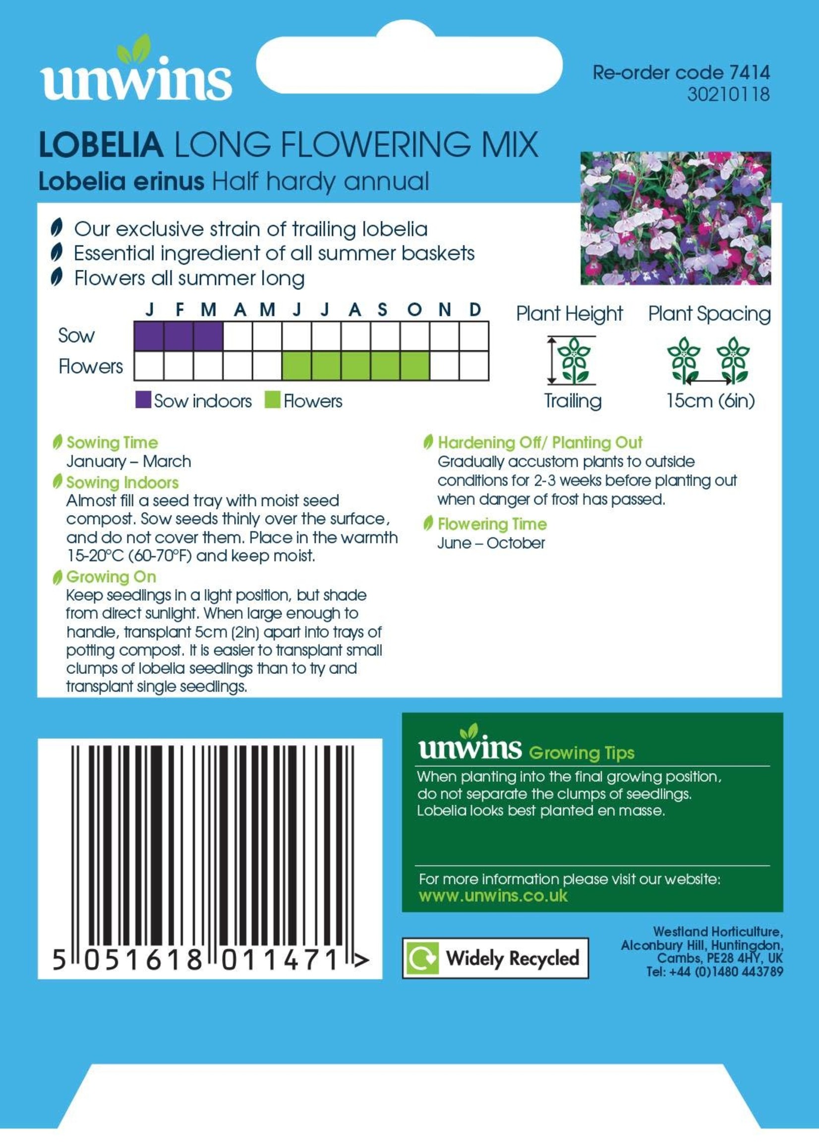 Unwins Lobelia - Long Flowering Mix