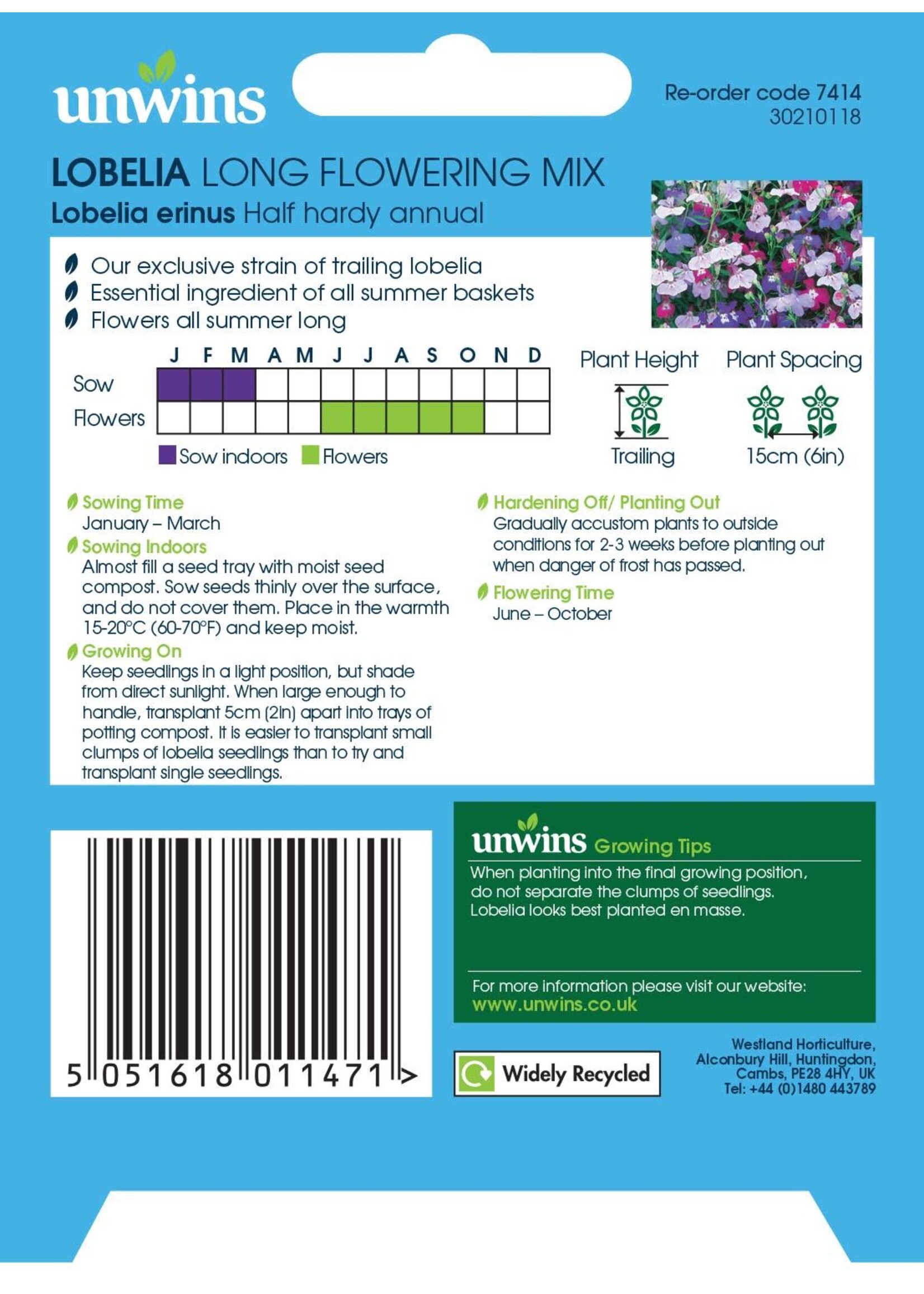 Unwins Lobelia - Long Flowering Mix